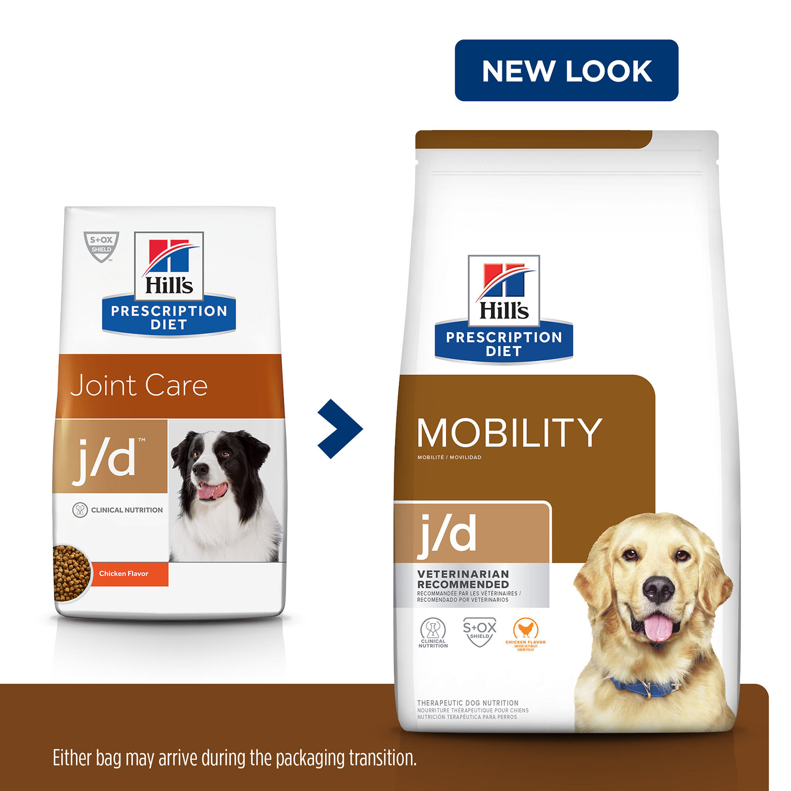 Hills joint and mobility dog food best sale