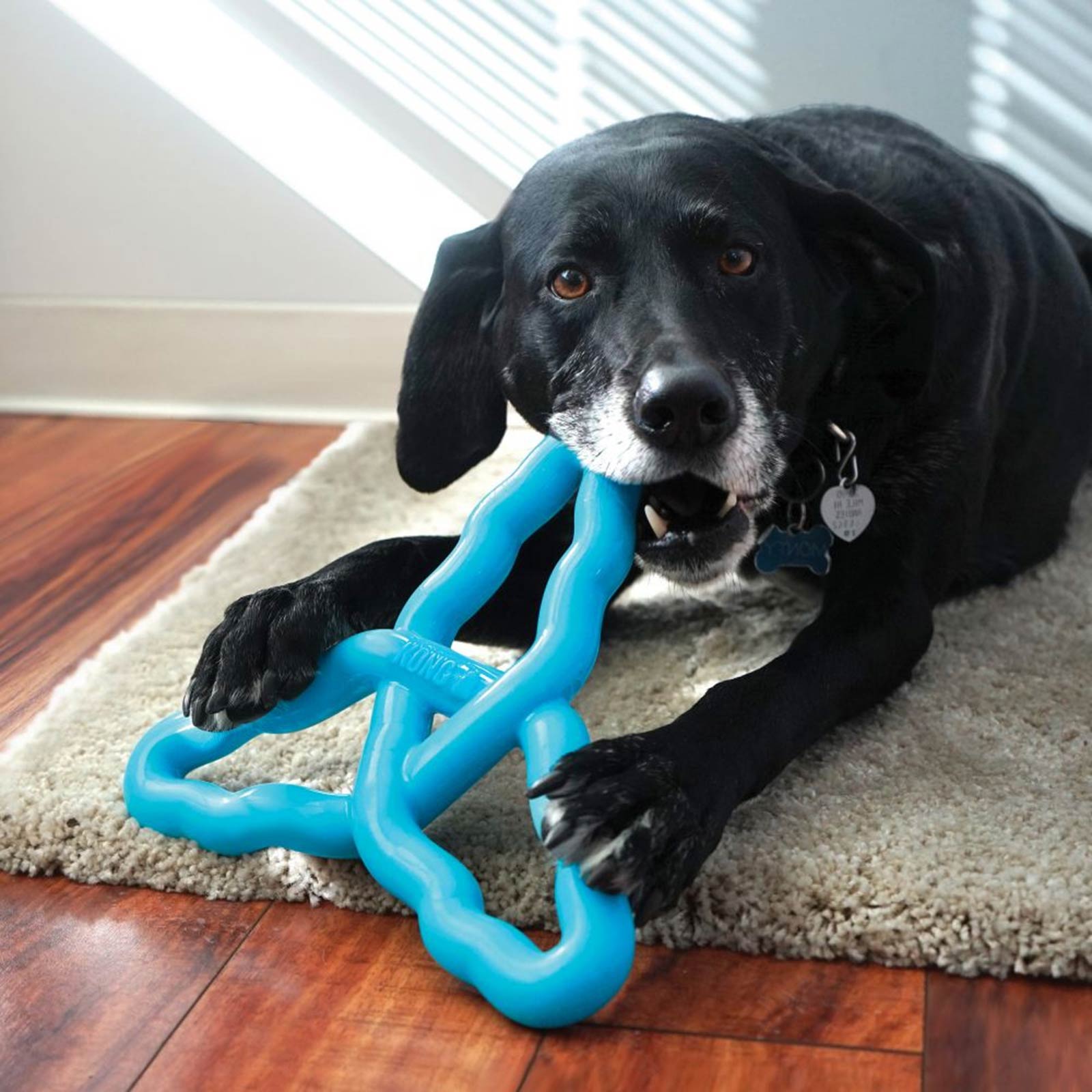 Dog tug toy that sticks to floor best sale