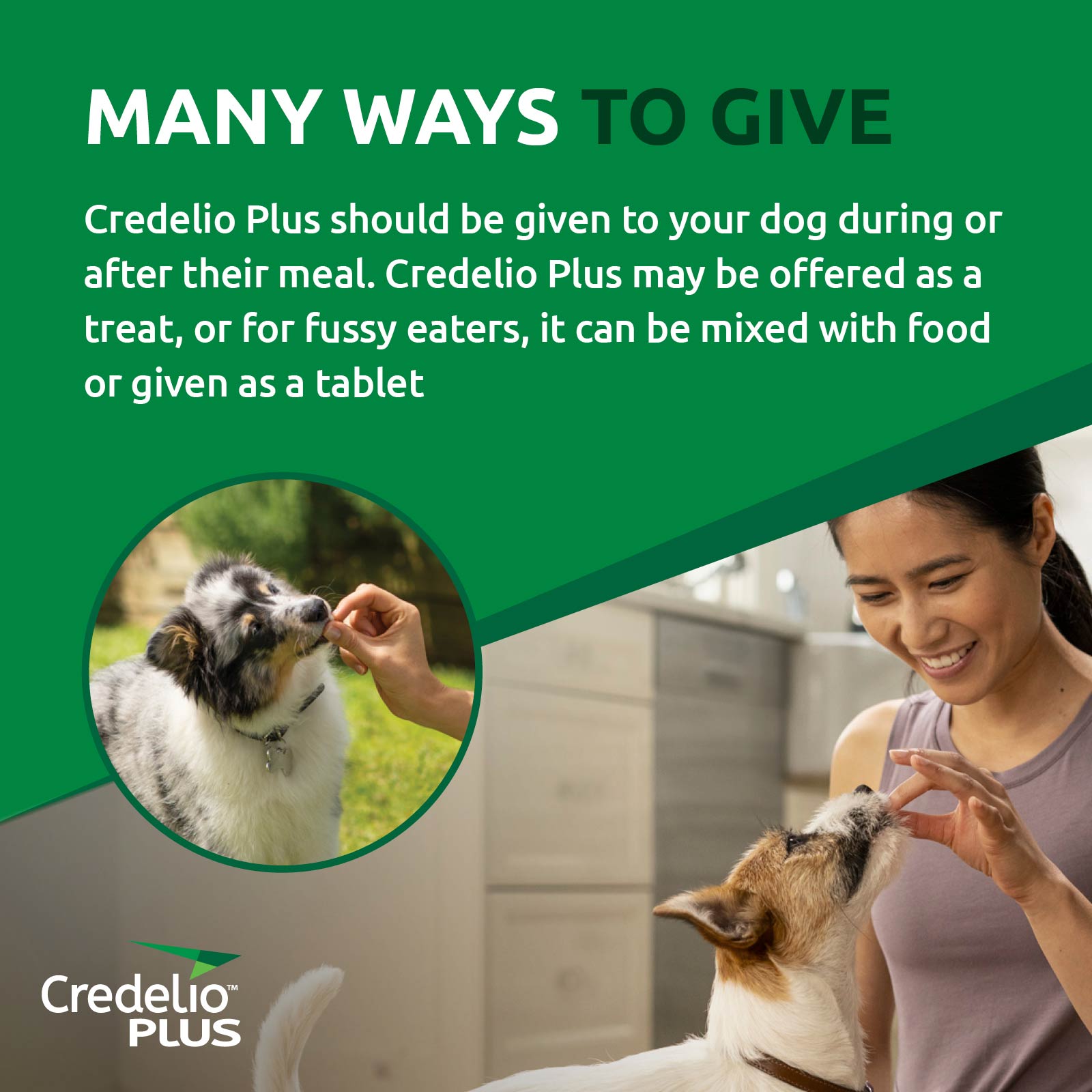 Credelio Plus For Large Dogs 11-22kg Green Single Pack - $39.95