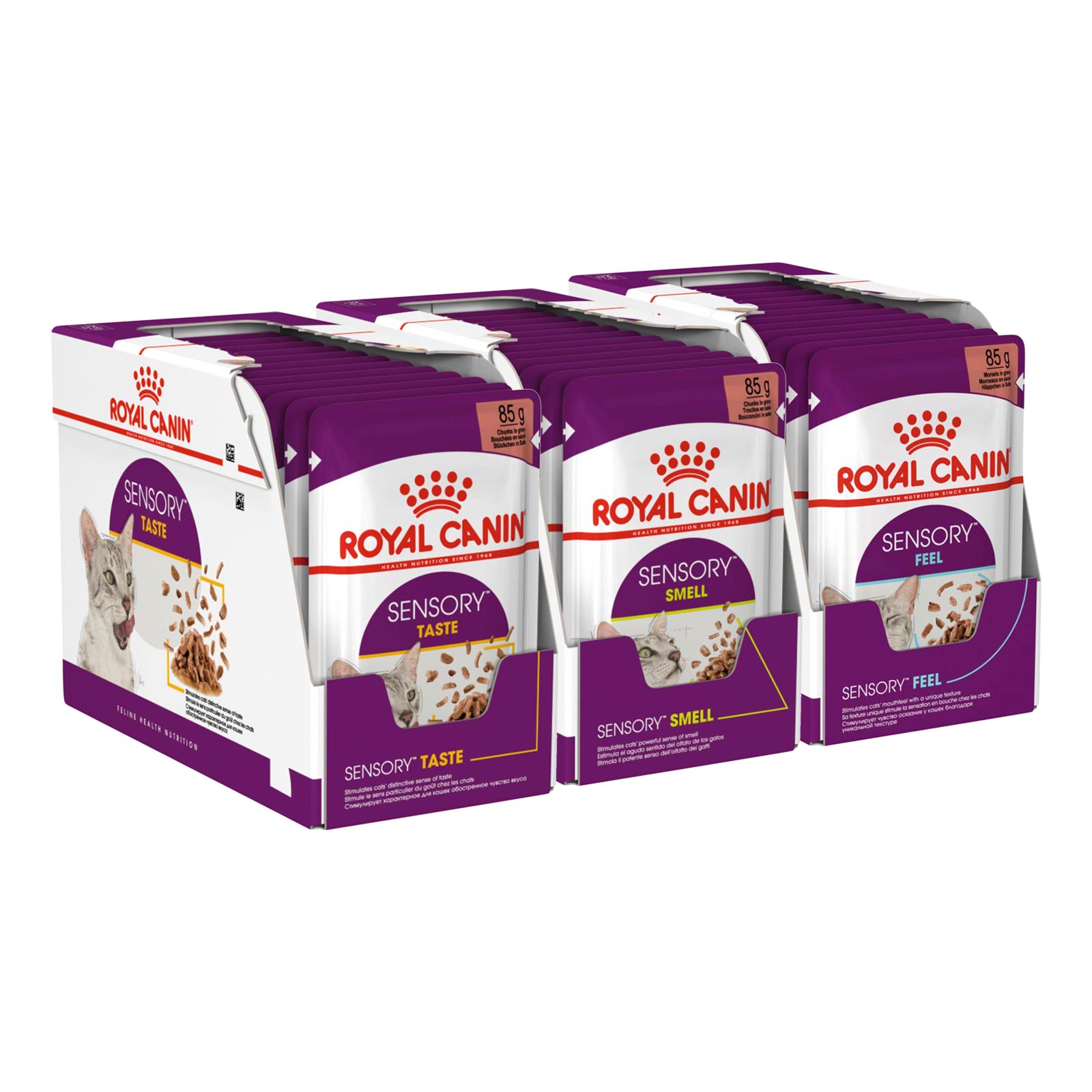 Royal Canin Mixed Sensory Feel Taste And Smell In Gravy Adult