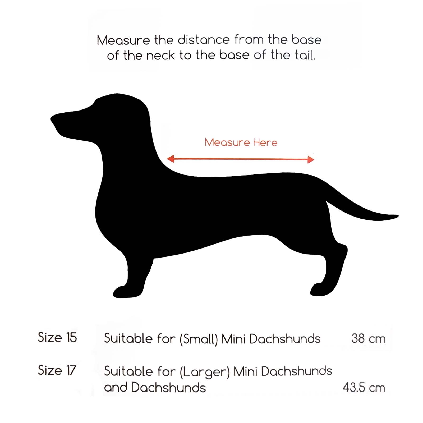 Dachshund store neck size