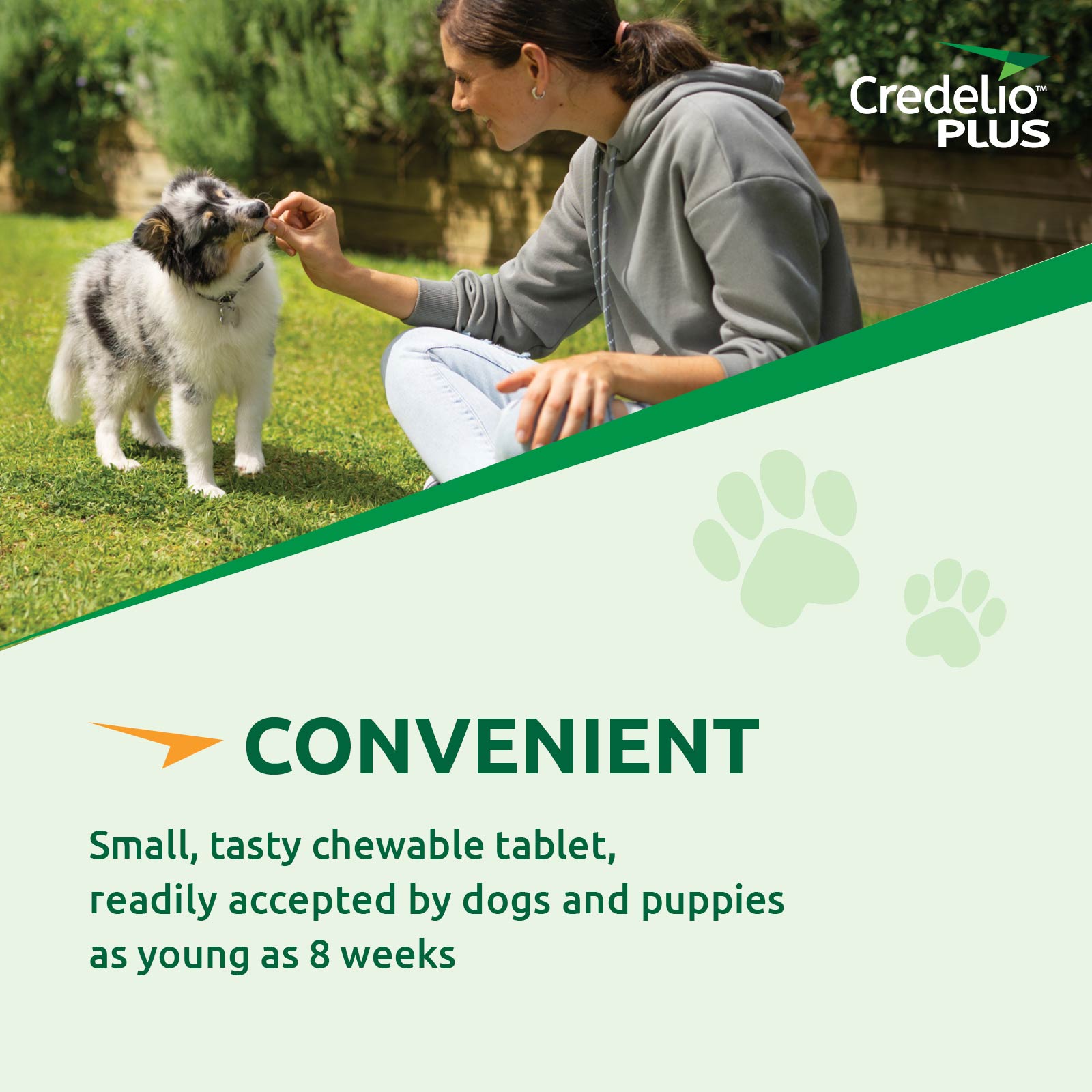 Credelio Plus For Large Dogs 11-22kg Green Single Pack - $39.95