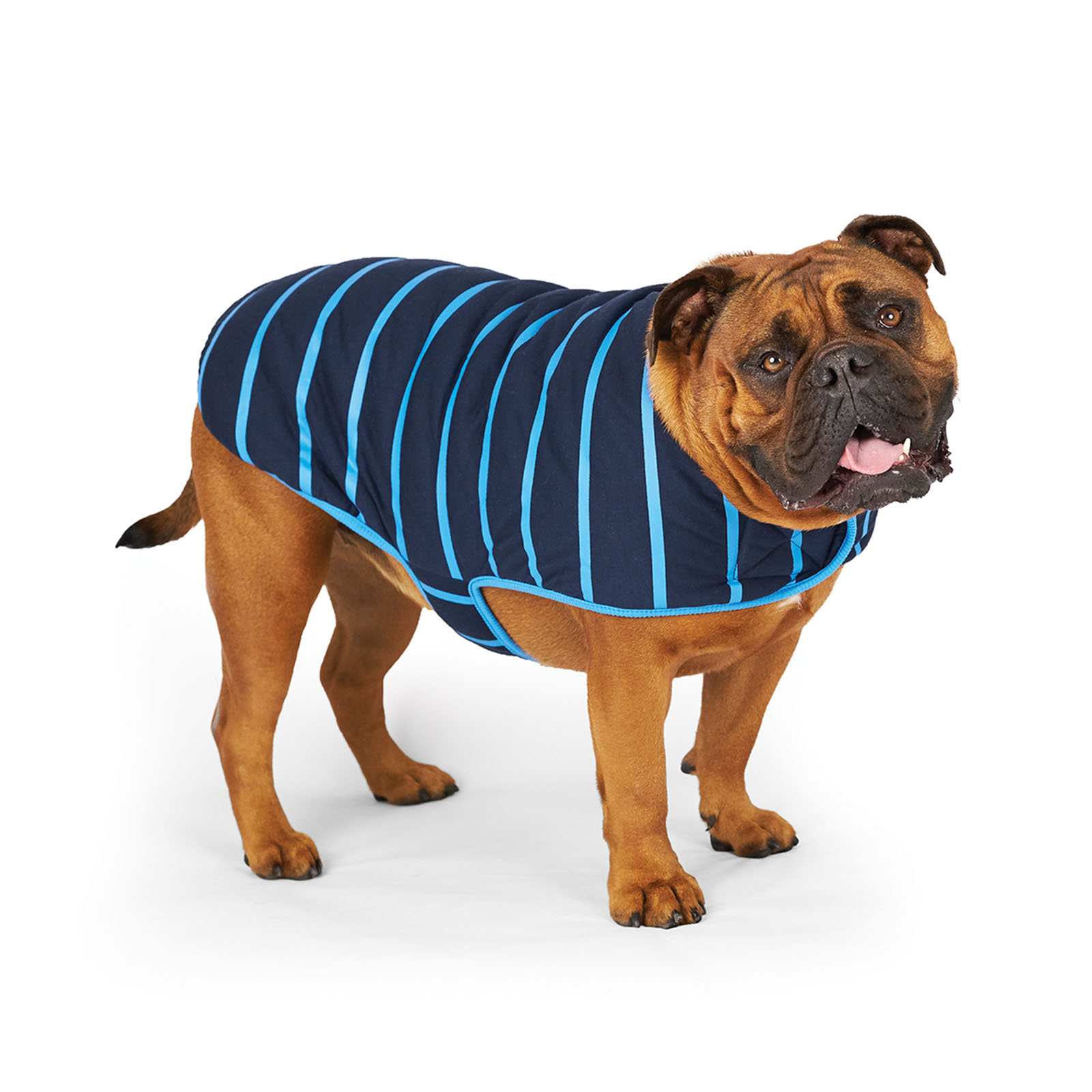 Kazoo Blue Stripe Reversible Snuggie Winter Dog Coat Small 40cm - $26.98