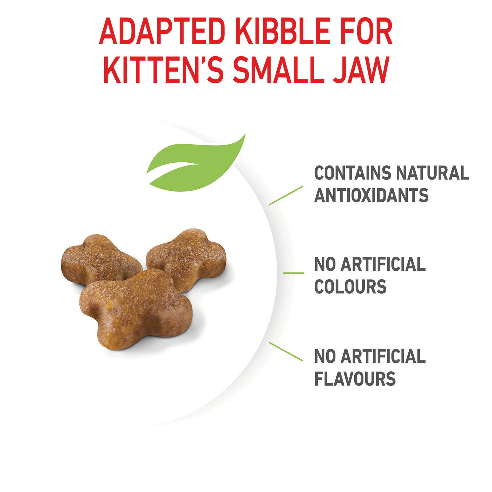 Kibble kitten food best sale