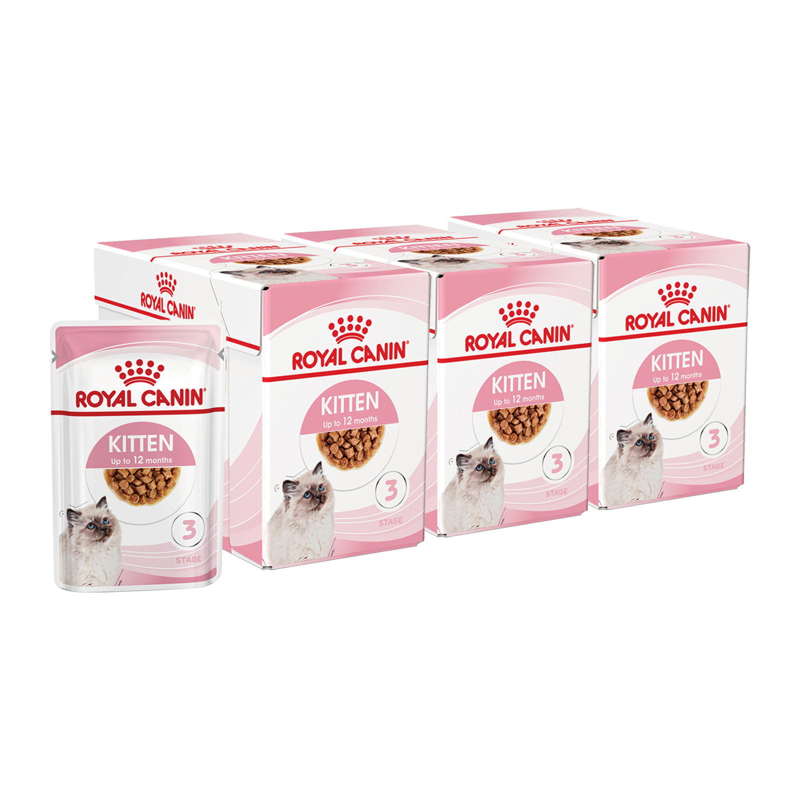 Royal canin kitten hotsell loaf in sauce