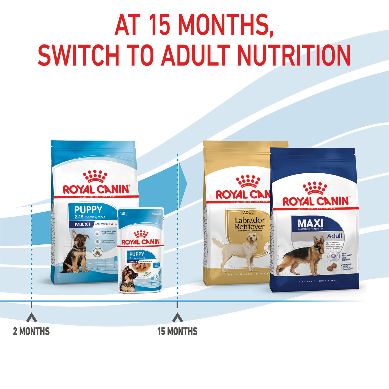 Royal canin junior outlet 4kg