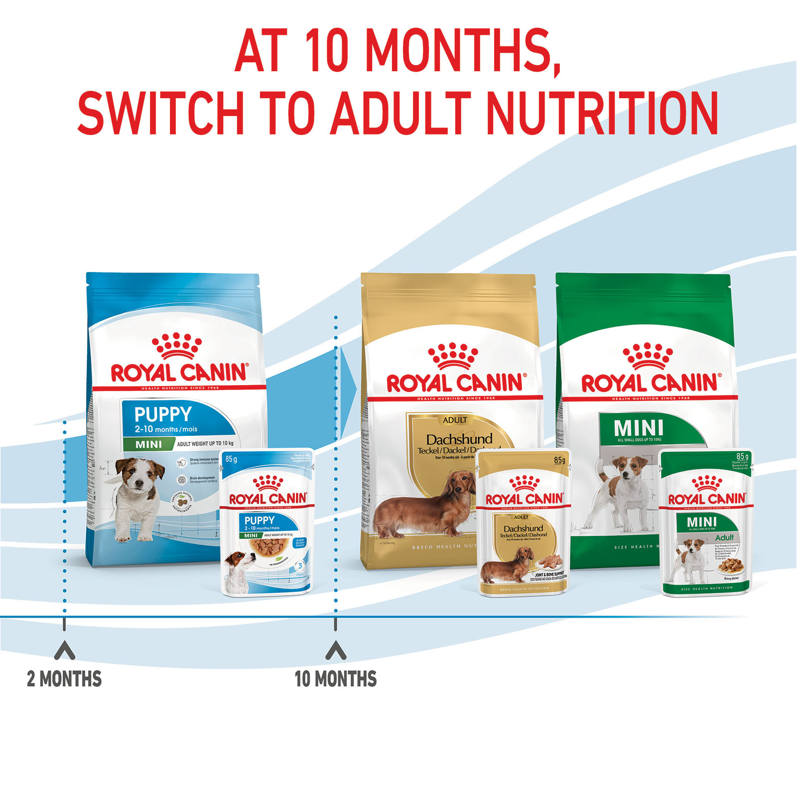 ROYAL CANIN Size Health Nutrition X-Small Puppy Dry Dog Food, 14