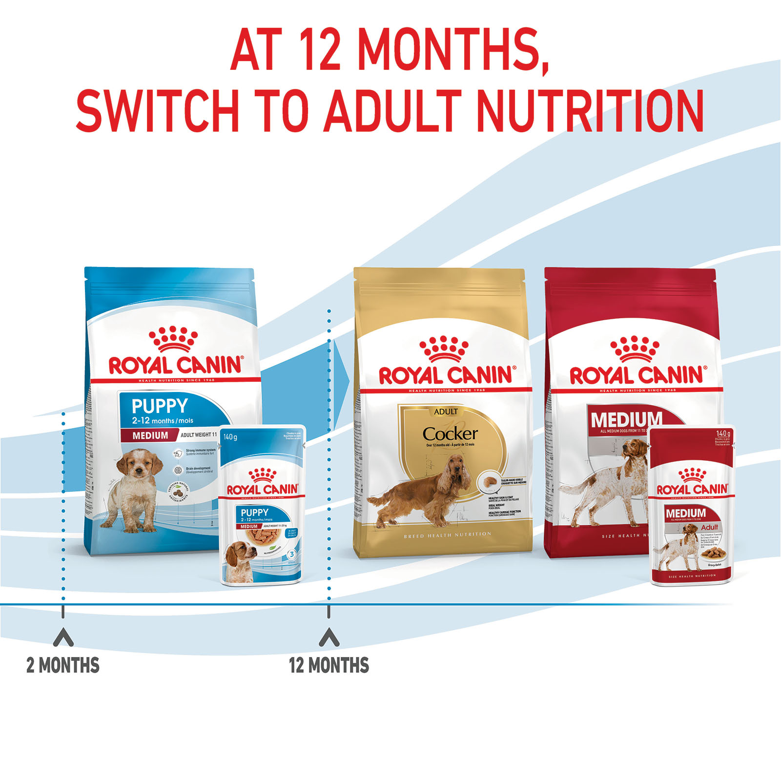 Royal Canin Medium Puppy In Gravy Pouches Wet Dog Food 140gm x 30