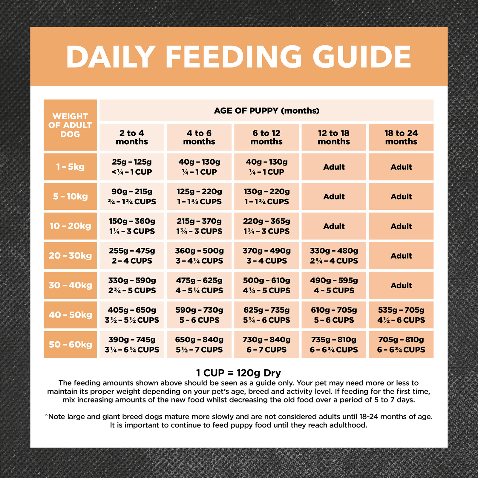 Holistic puppy best sale feeding guide