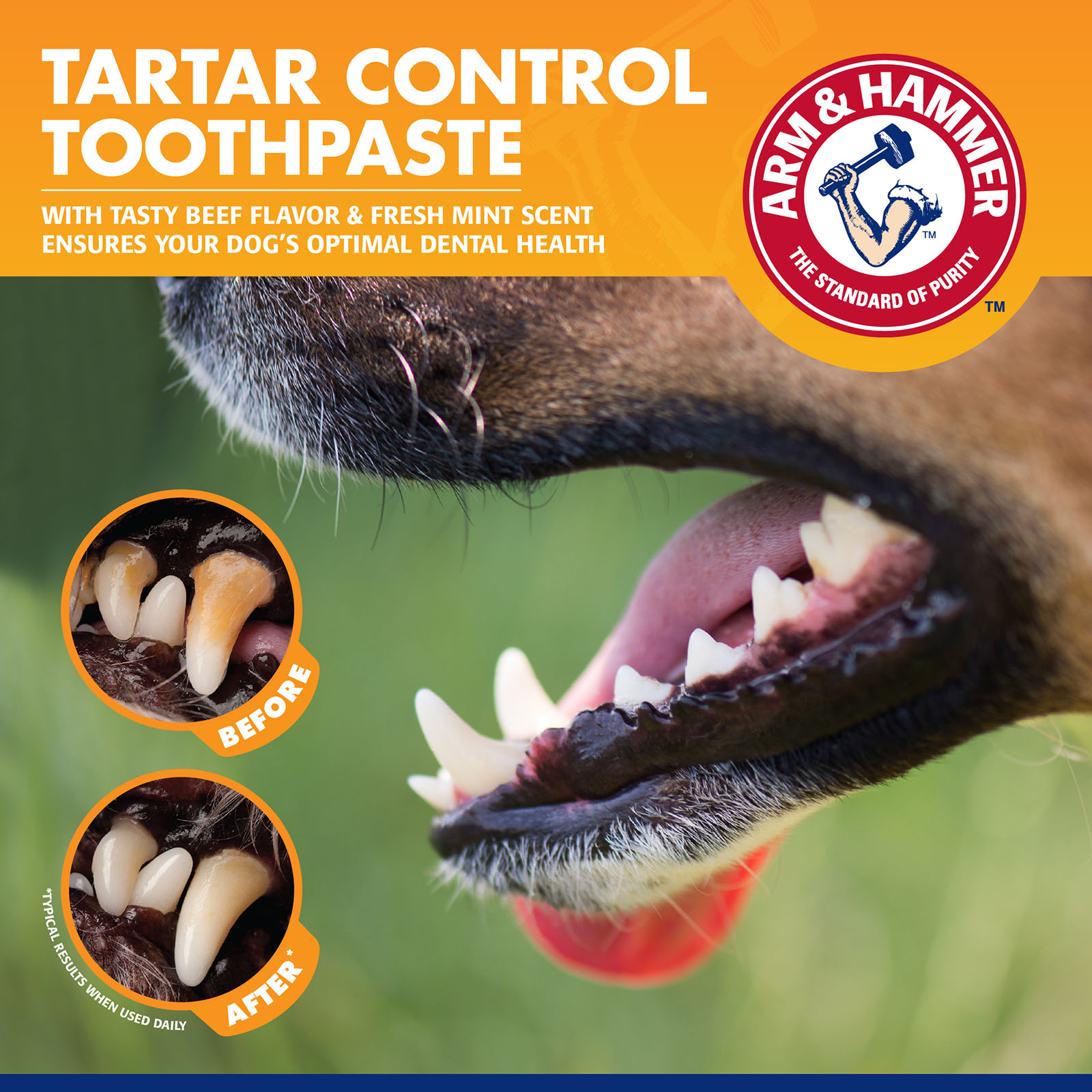 Arm And Hammer Tartar Control Dental Kit With Beef Toothpaste Double Toothbrush And Finger Brush For Dogs 11.99