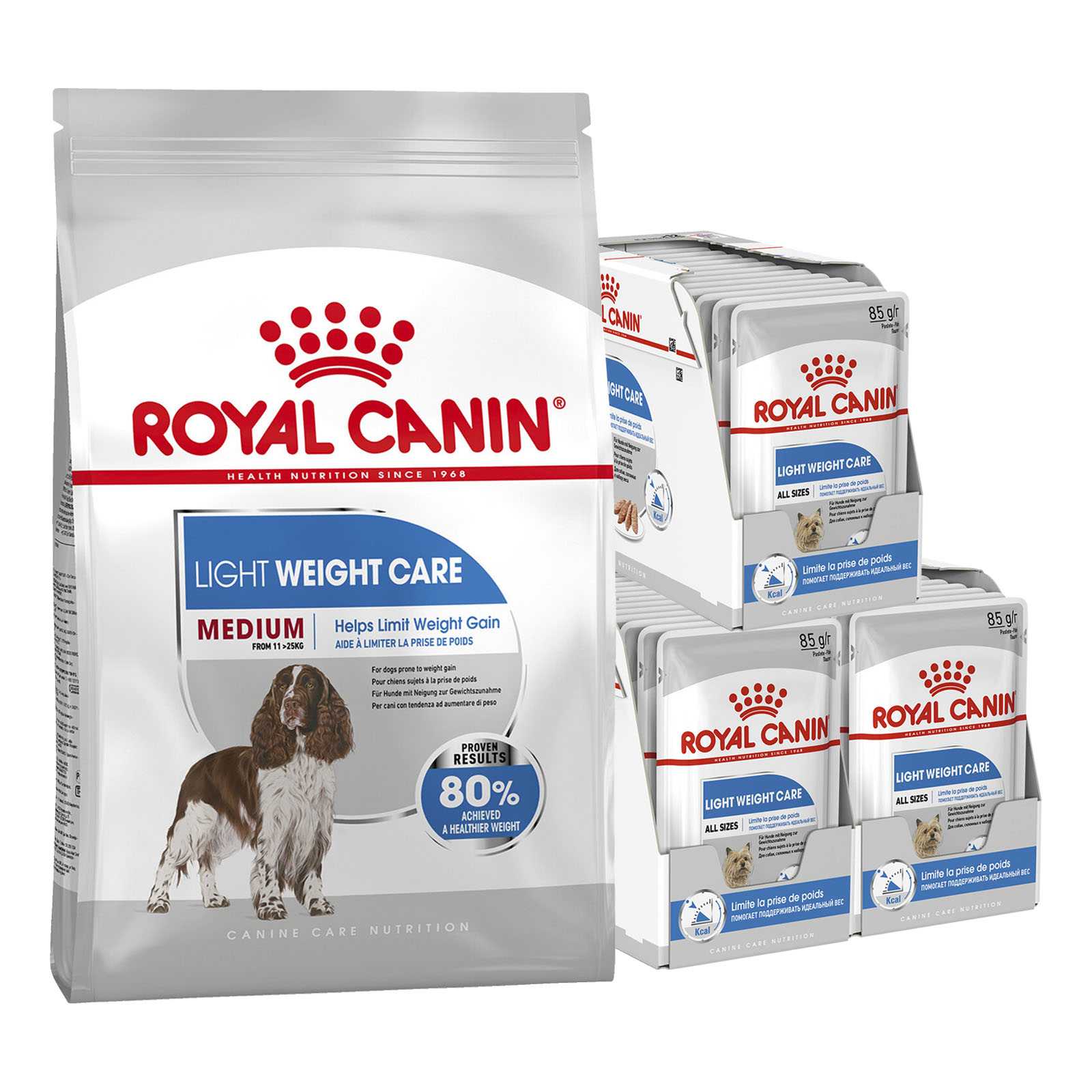 Light dog food for weight loss best sale