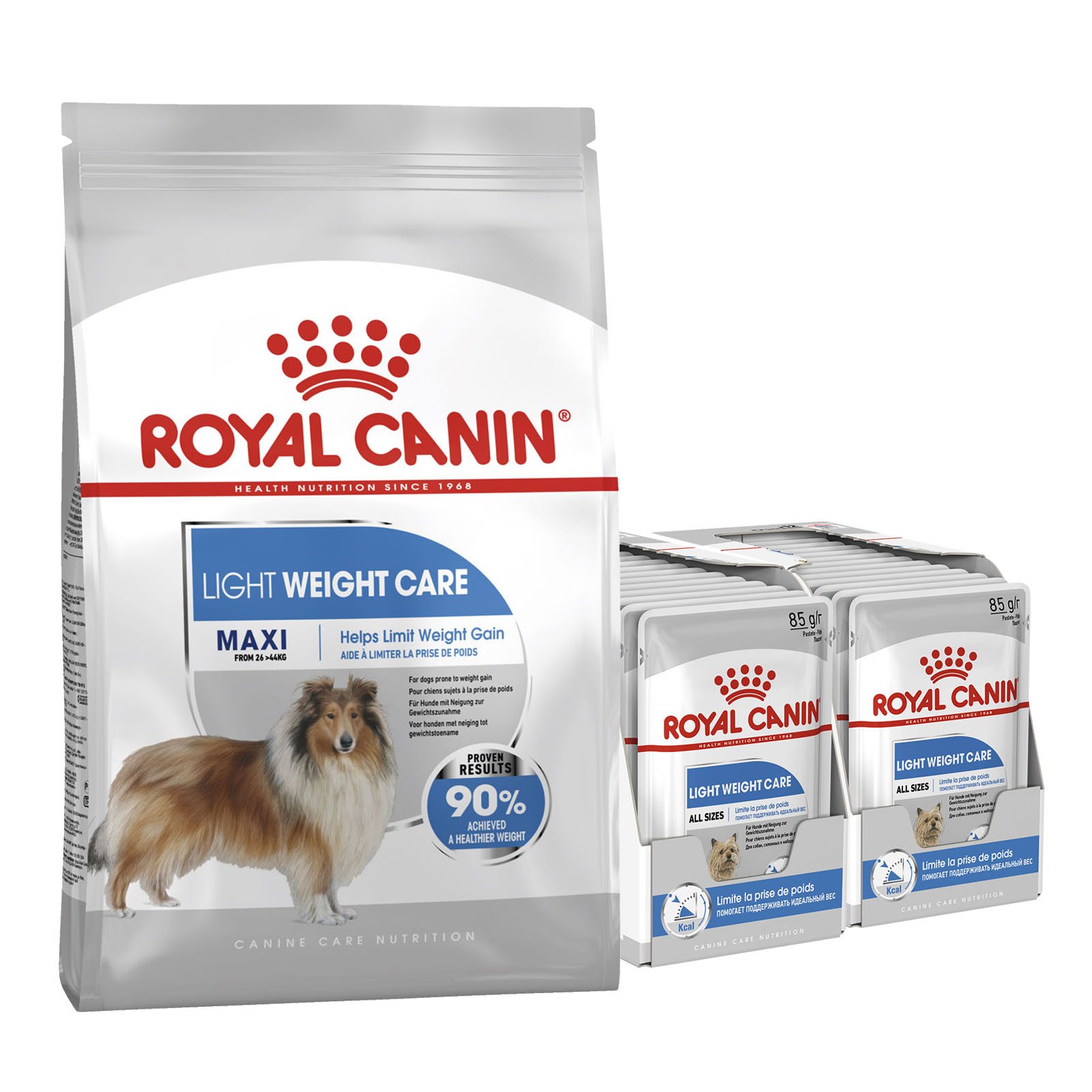 Royal Canin Bundle Light Weight Care Maxi Adult Wet And Dry Dog