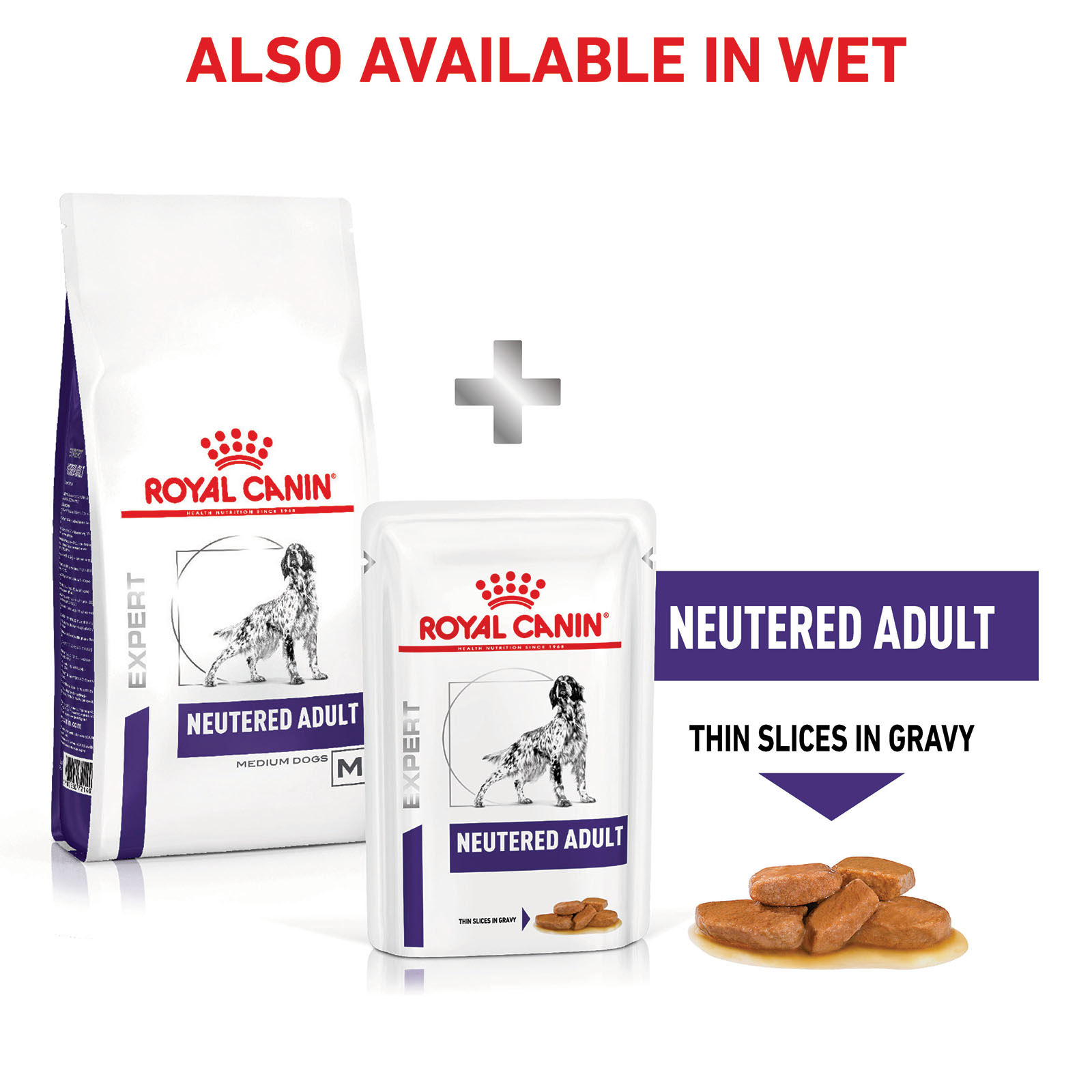 ROYAL CANIN Dental Care | Confezione Tripla | 3 x 400 g | Crocchette per gatti adulti | Per supportare la salute e l'igiene orale | Con un principio attivo per la