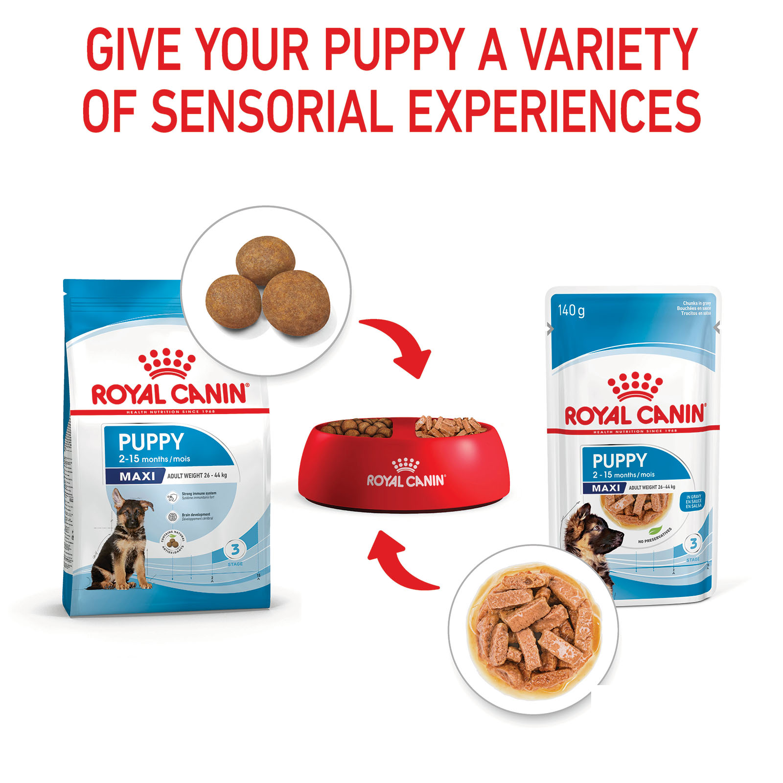 Royal Canin Maxi Puppy In Gravy Pouches Wet Dog Food 140gm x 10 41.99