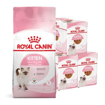 Royal canin kitten store biscuits