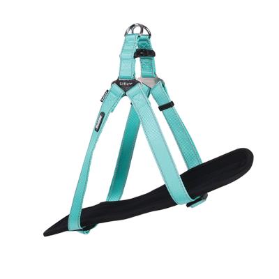 Kazoo dog outlet harness