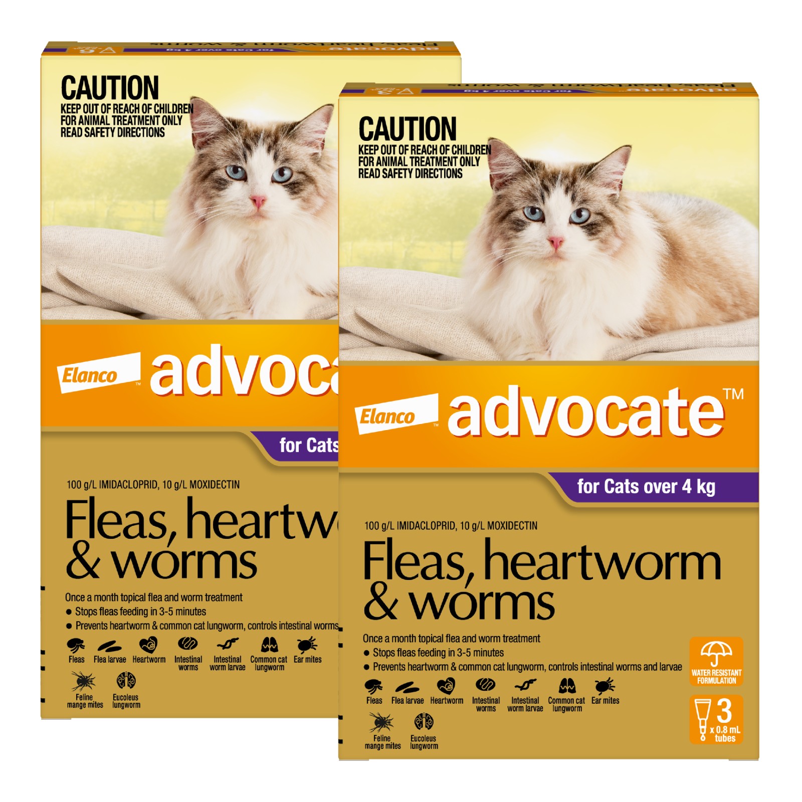 Advocate for best sale cats ear mites