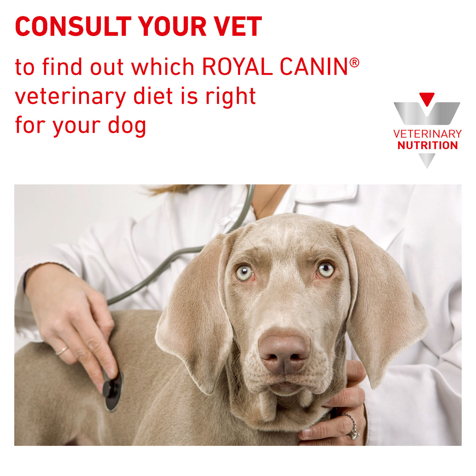 Royal Canin Veterinary Diet Canine Gastrointestinal High Fibre Dry Dog Food 14kg 225.56