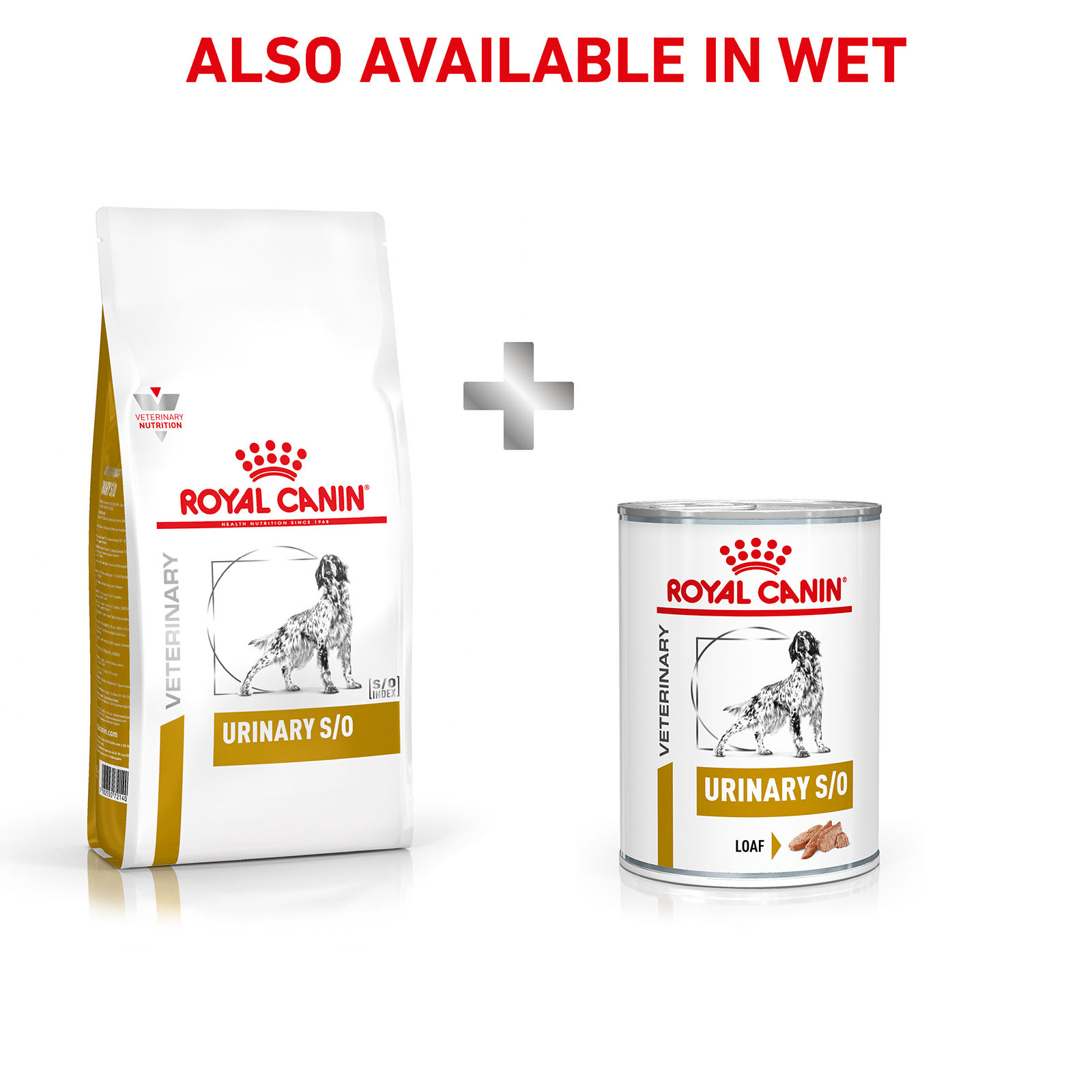 Royal canin veterinary diet canine hot sale urinary so dry dog food