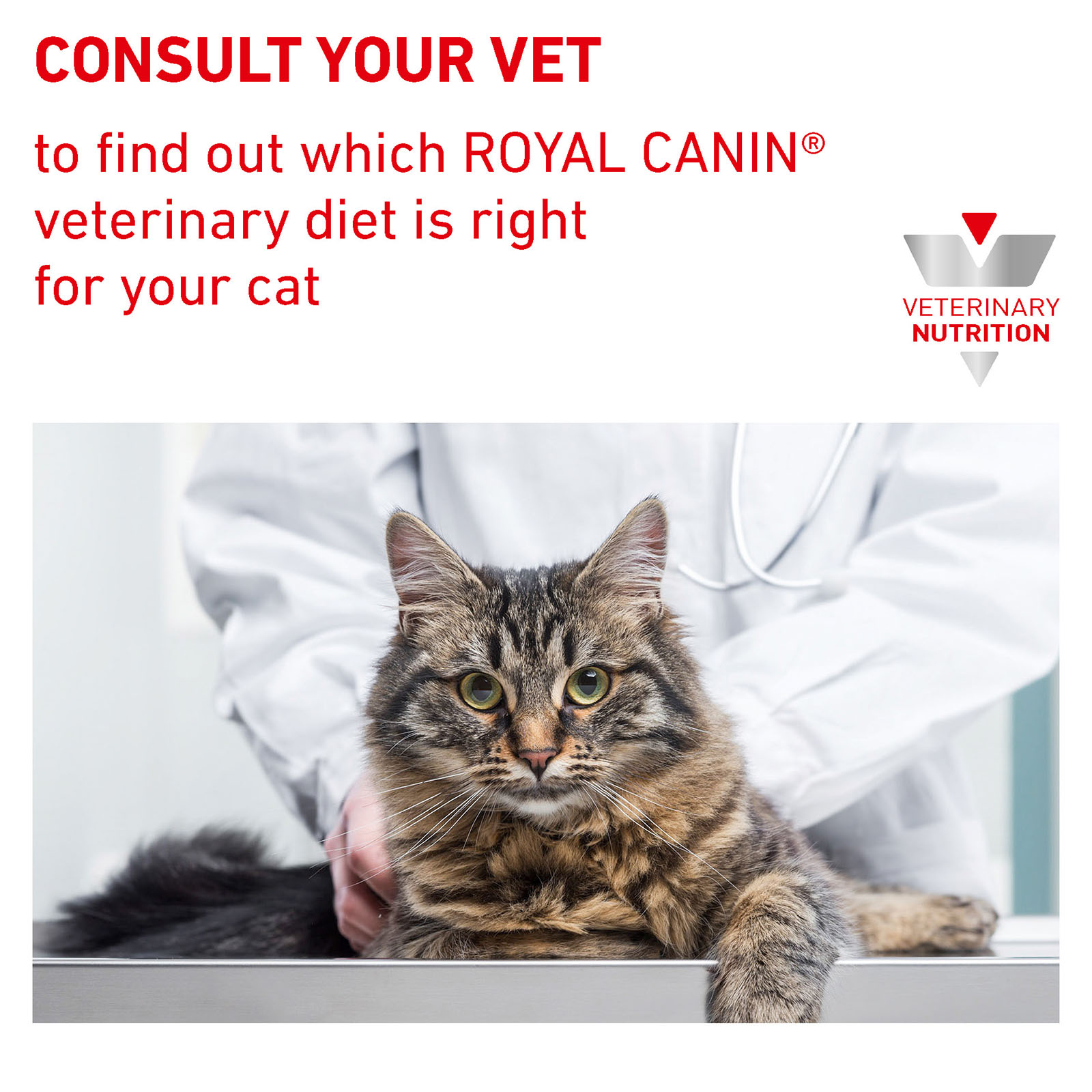 Royal Canin Veterinary Diet Feline Gastrointestinal Pouch Wet Cat