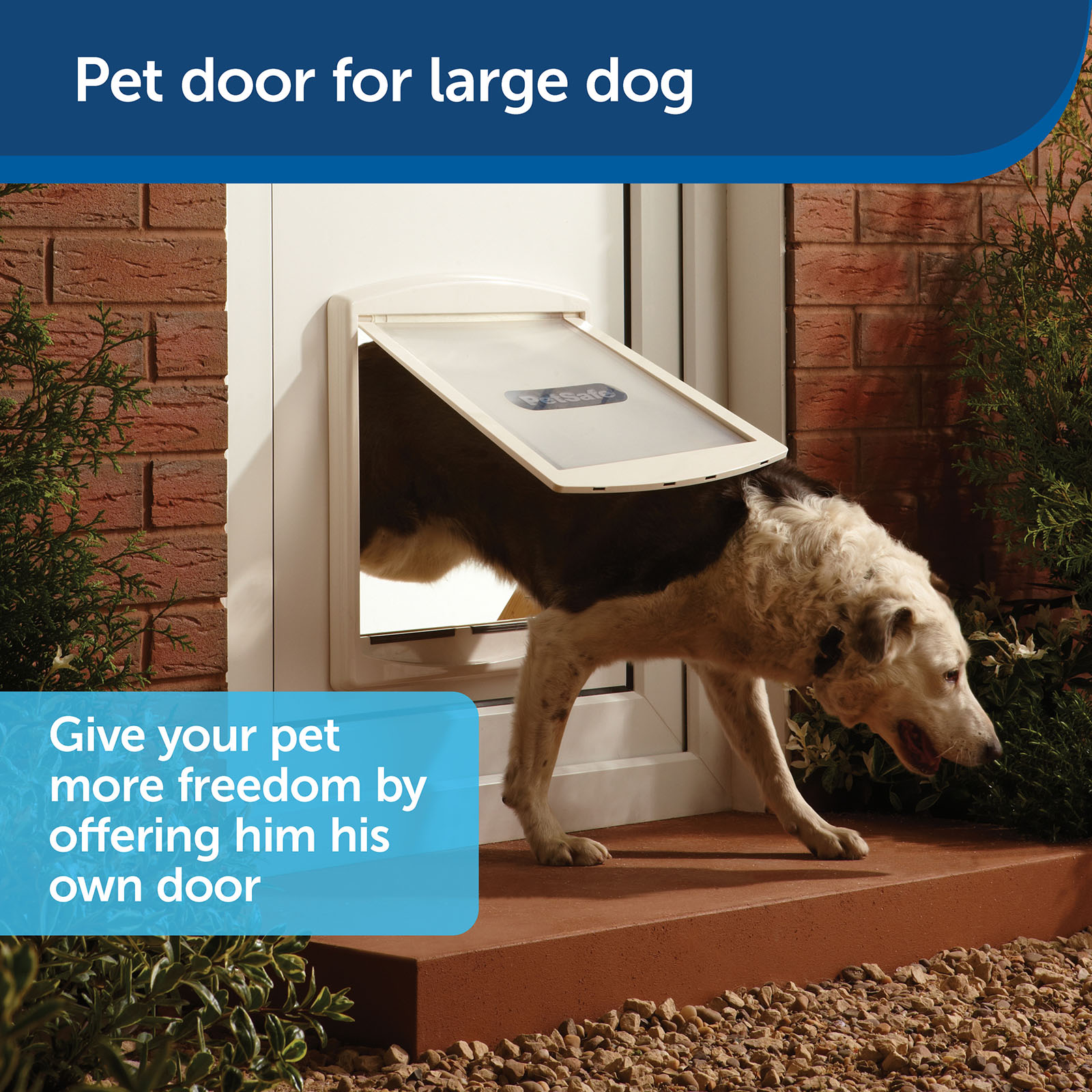 Staywell dog shops flap