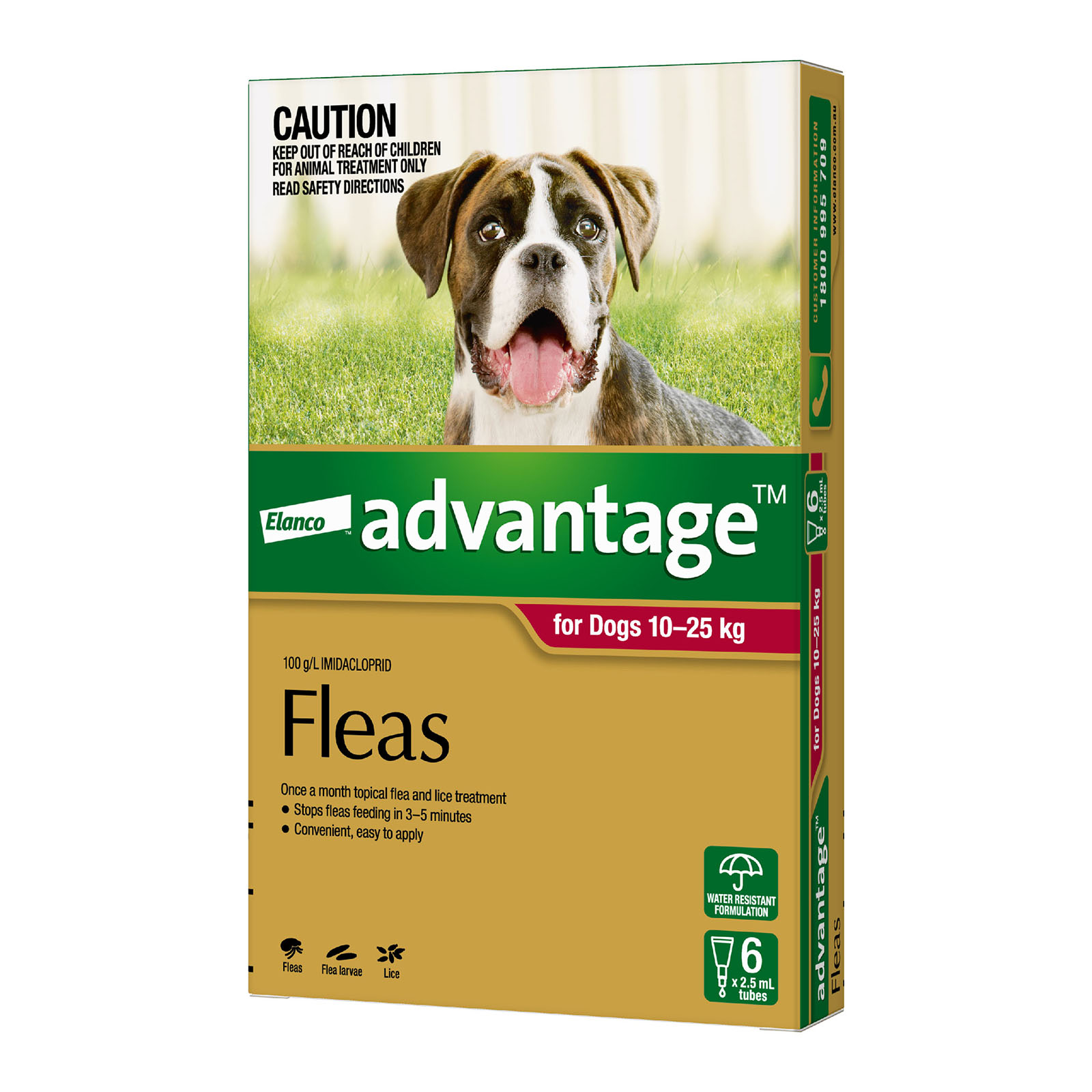 Advantage dog clearance flea