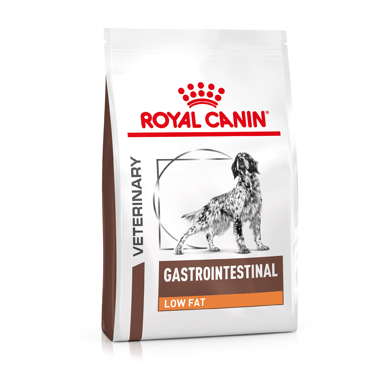 Royal canin gastrointestinal low sales fat 6kg