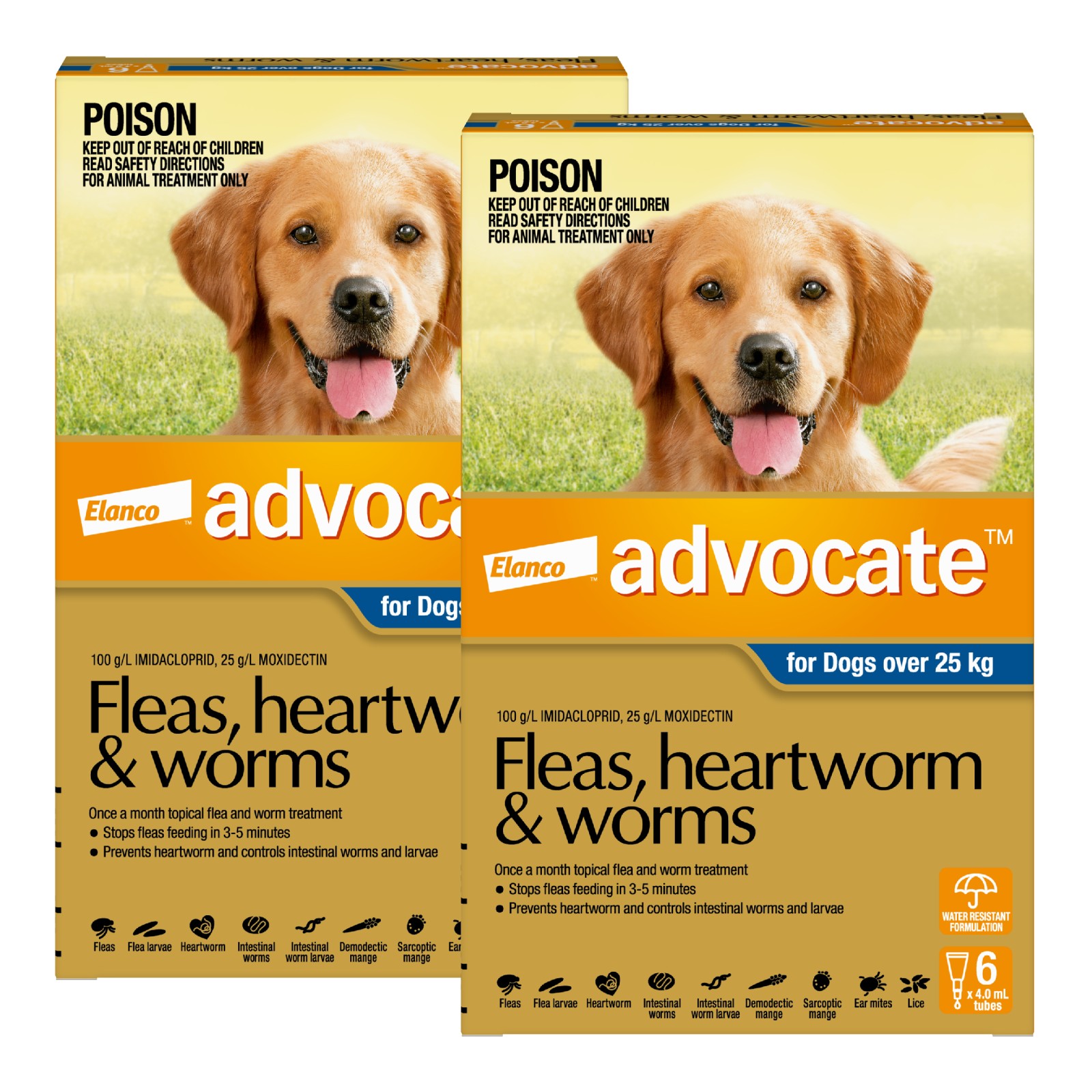 Advocate for dogs over 25kg cheap 6 pack