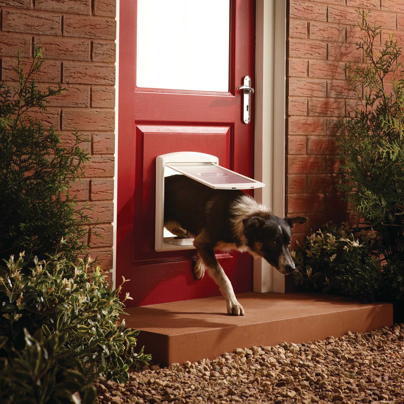 Dog door in brick wall best sale