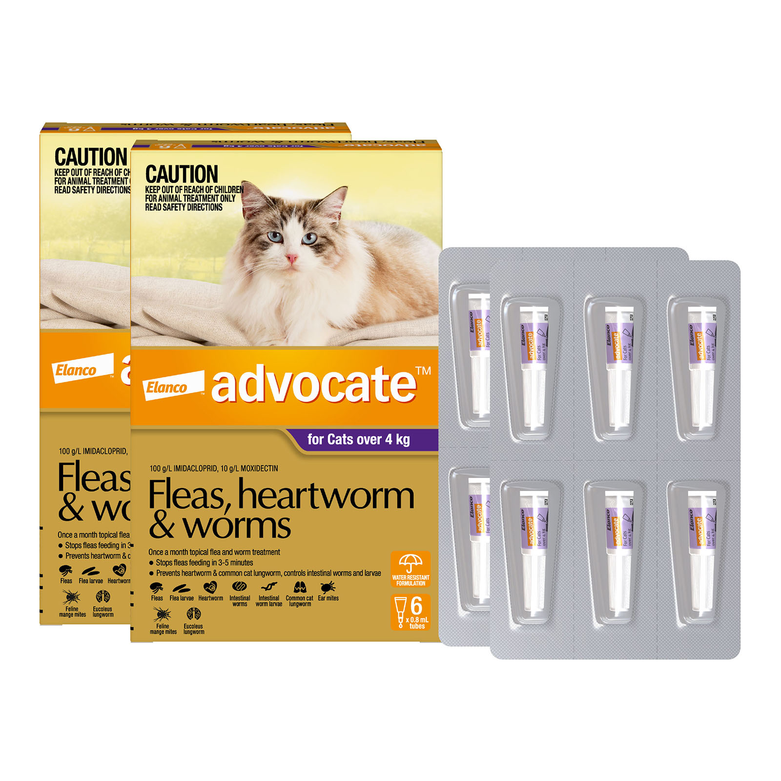 Advocate cat flea and worm sale treatment