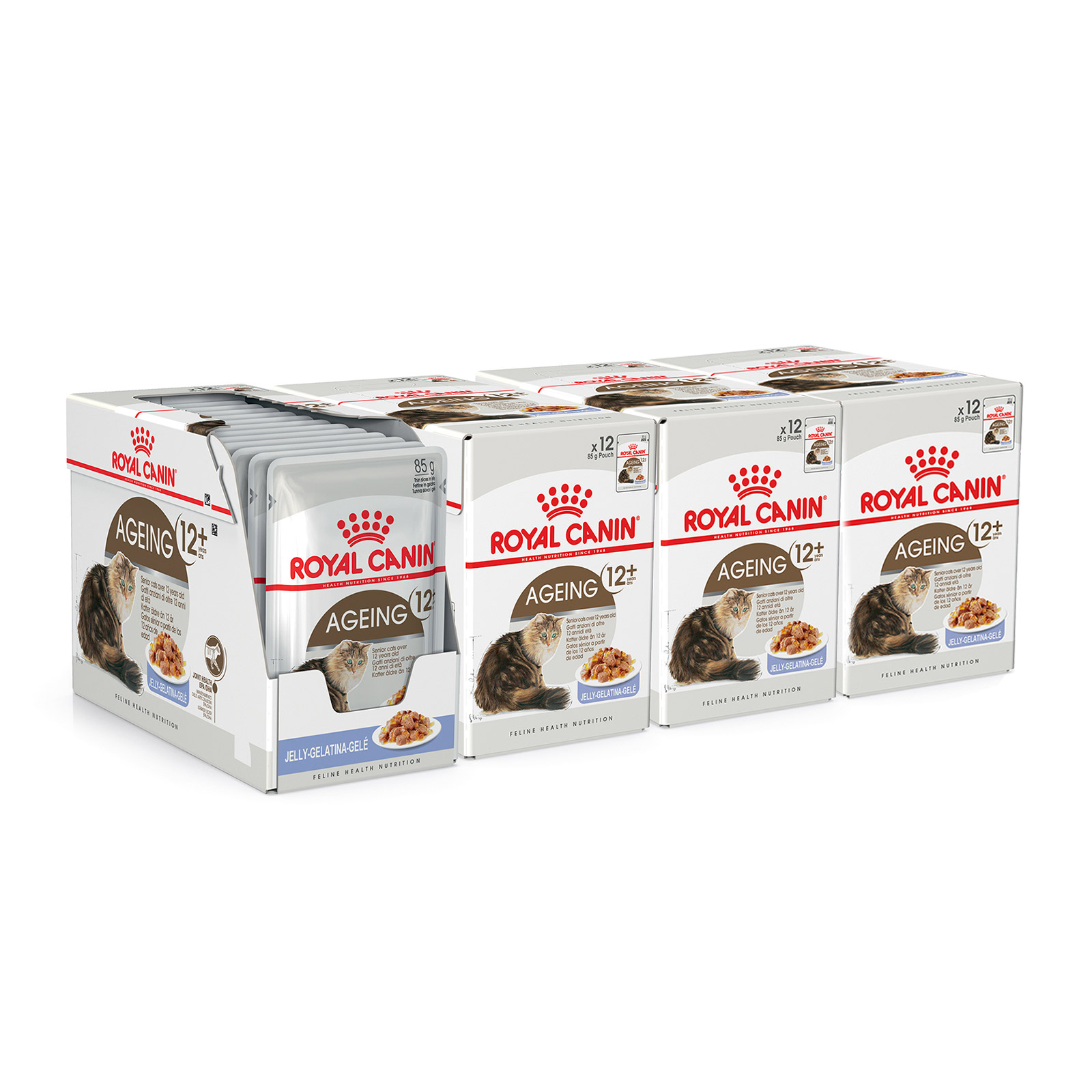 Royal Canin Ageing In Jelly 12 Years Mature Senior Pouches Wet