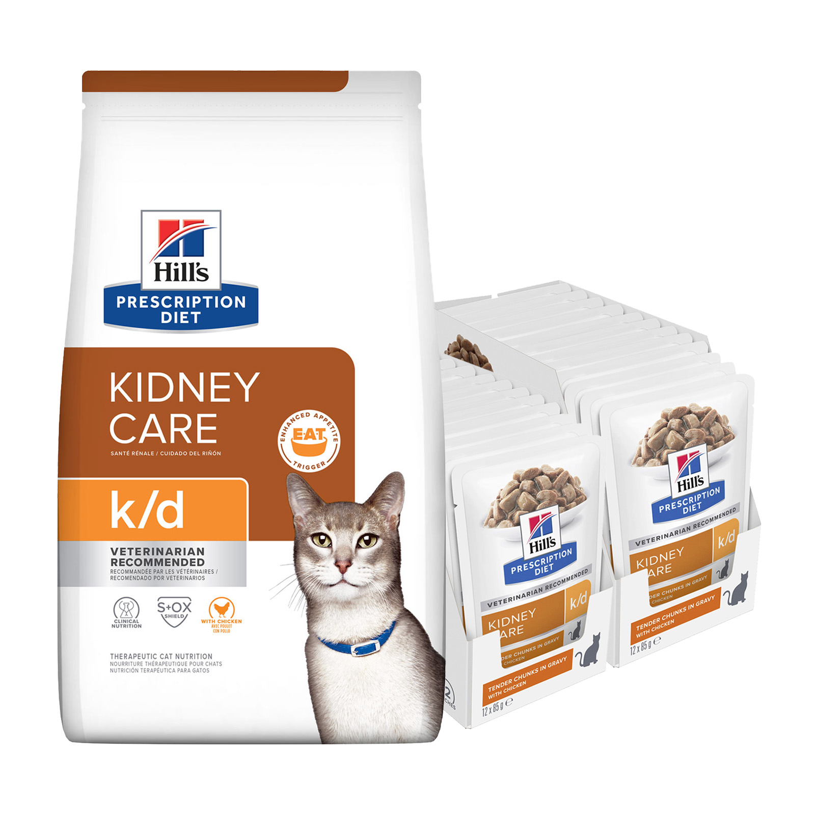 Hills Prescription Diet Bundle Feline kd Kidney Care Chicken Dry