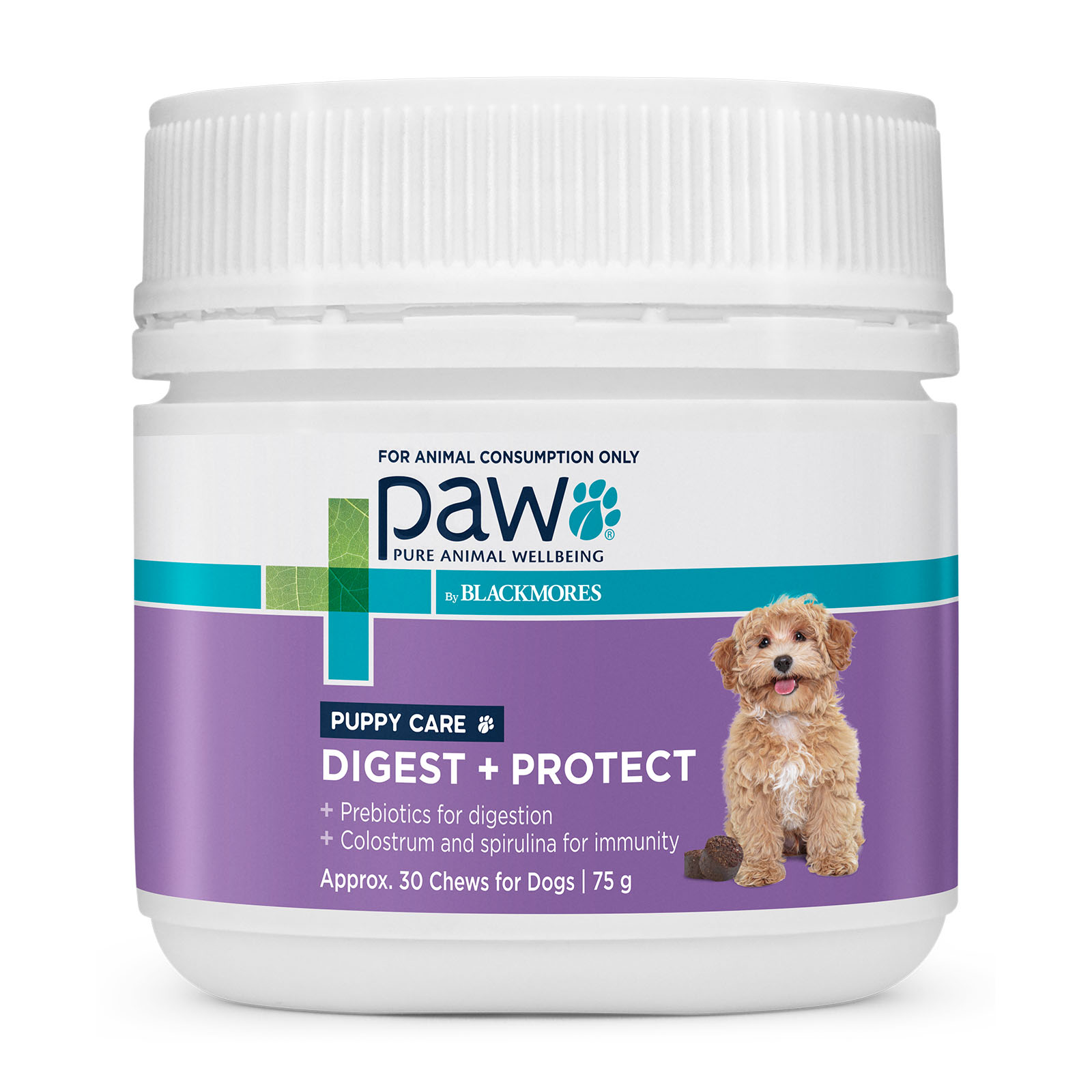 Paw By Blackmores Digest And Protect Puppy Care Chews For Dogs 75gm