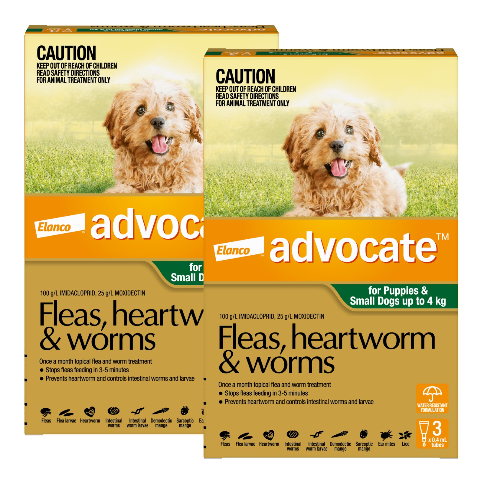 Advocate small dog cheap 6 pack