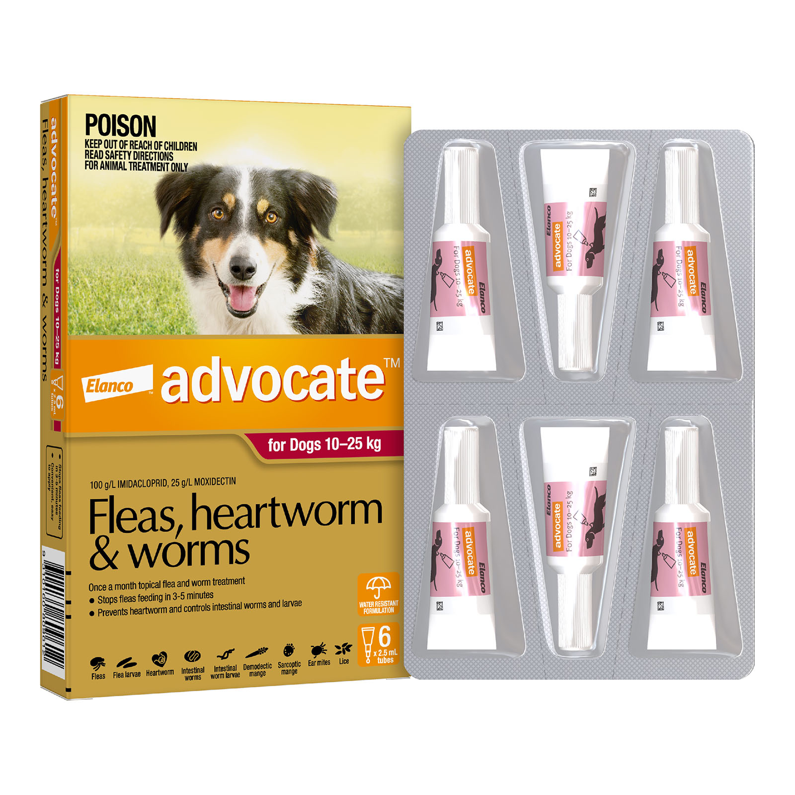 Advocate for dogs over 25kg hot sale 6 pack