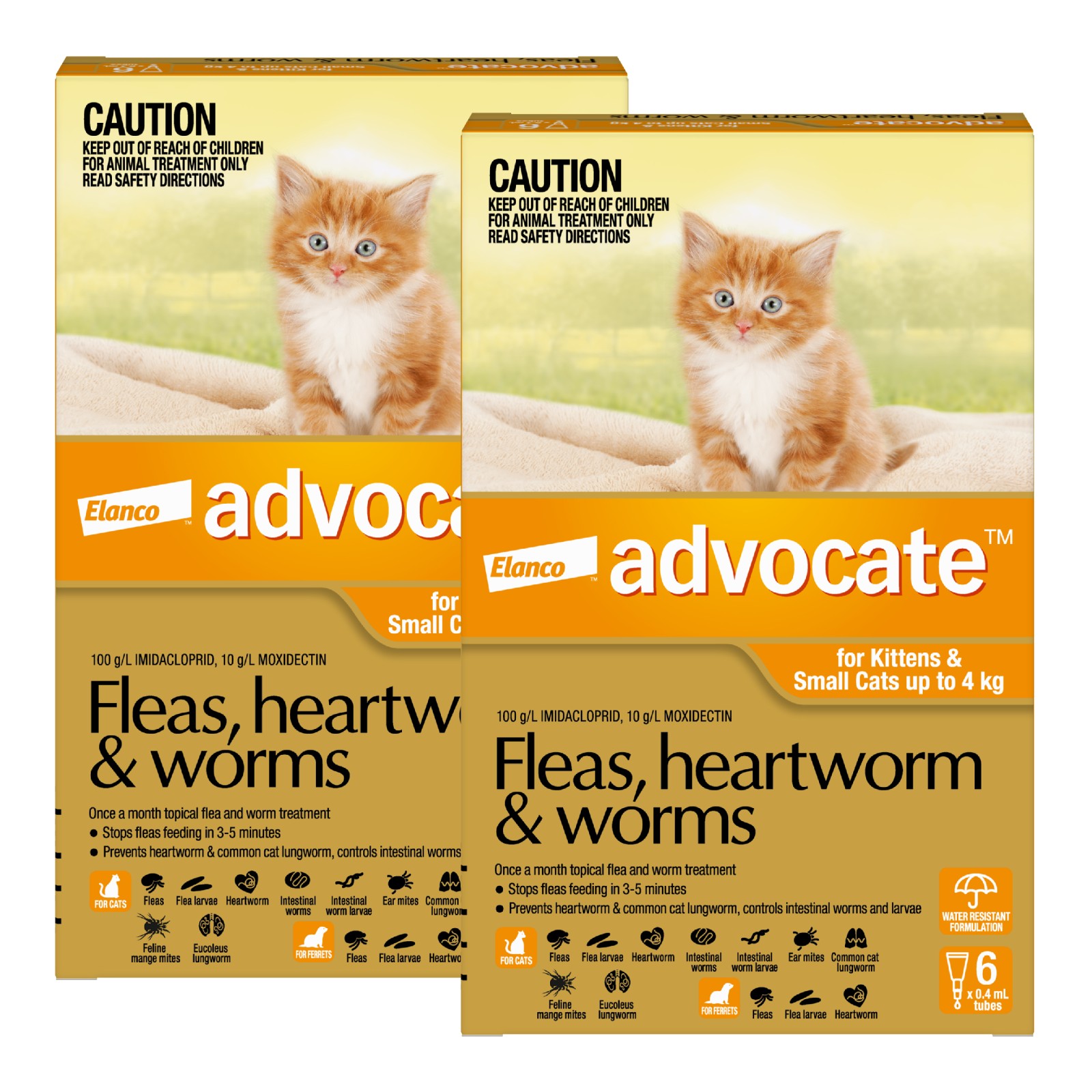 Advocate for cats over 4kg best sale 12 pack