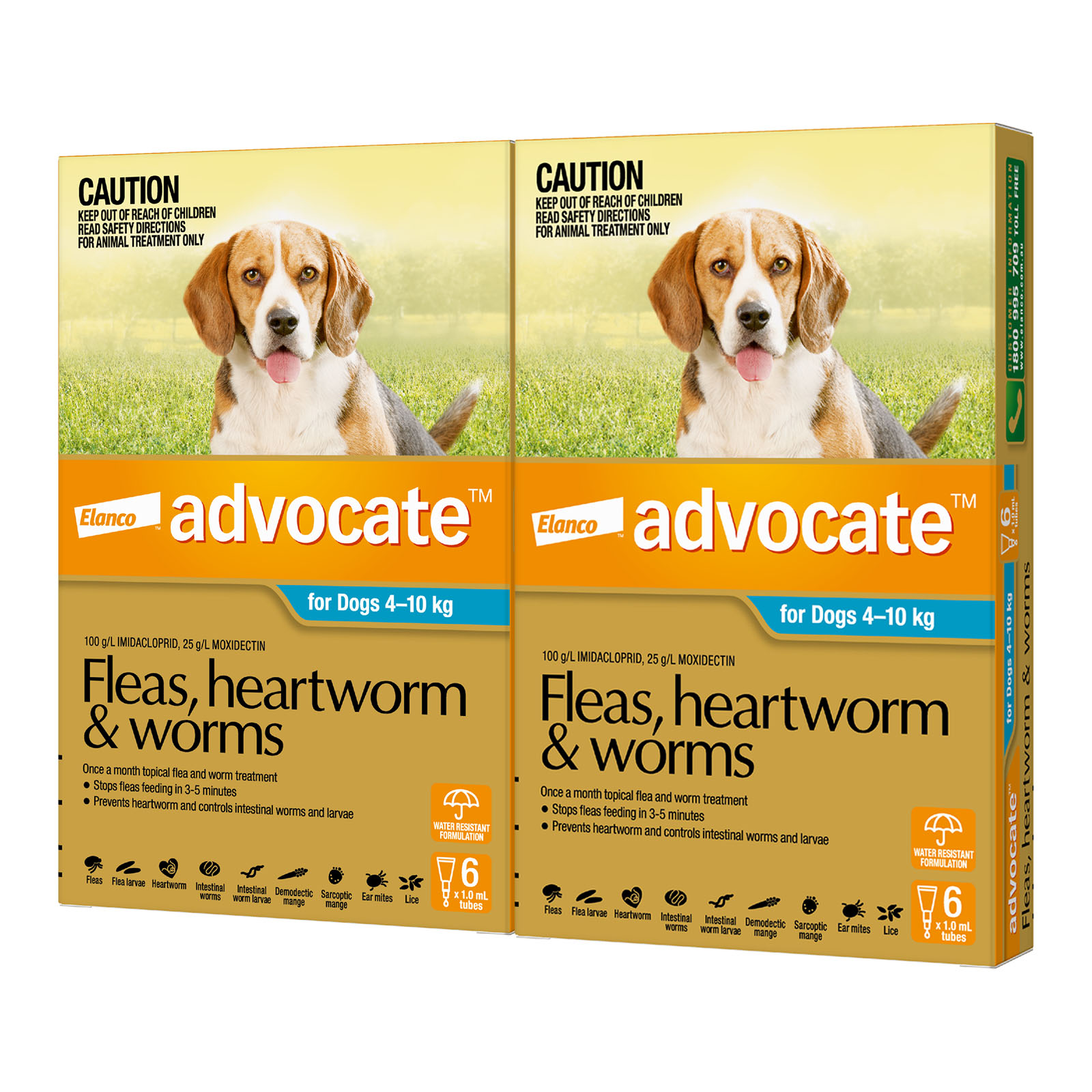 Advocate medium best sale dog 6 pack