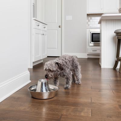 Pet Water Fountain PetSafe 7,5 L