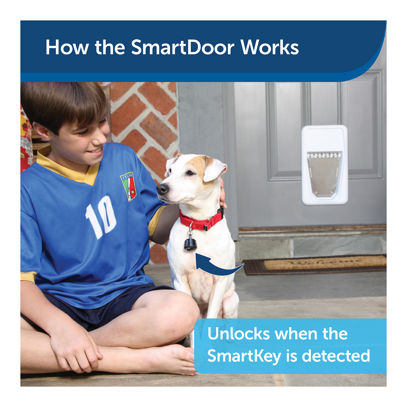 Petsafe electronic hotsell smart door australia