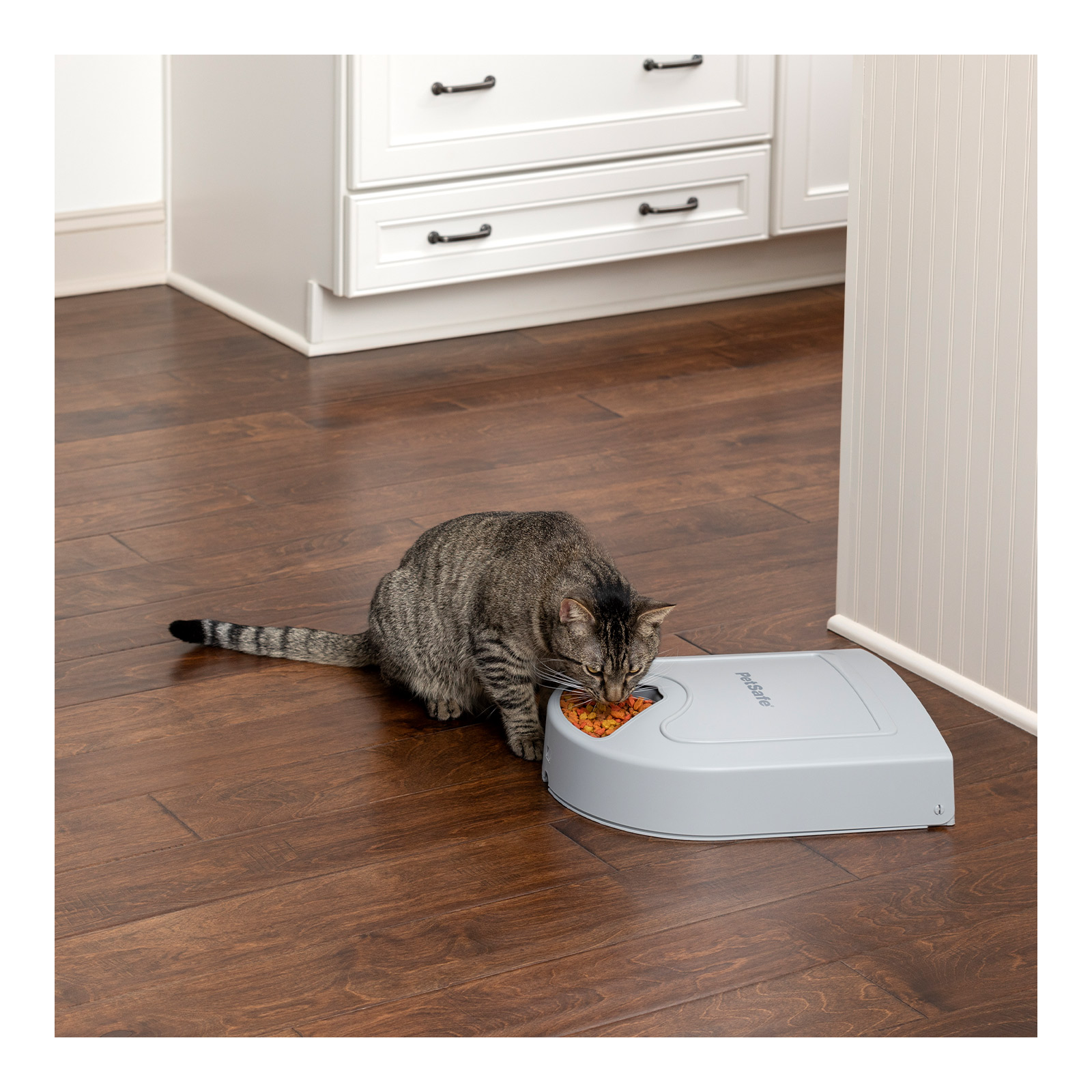 Petsafe eatwell 5 on sale meal pet feeder