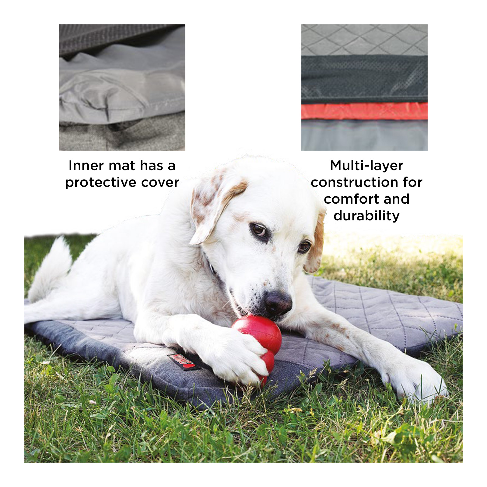 Folding Travel Dog Mat & Tote