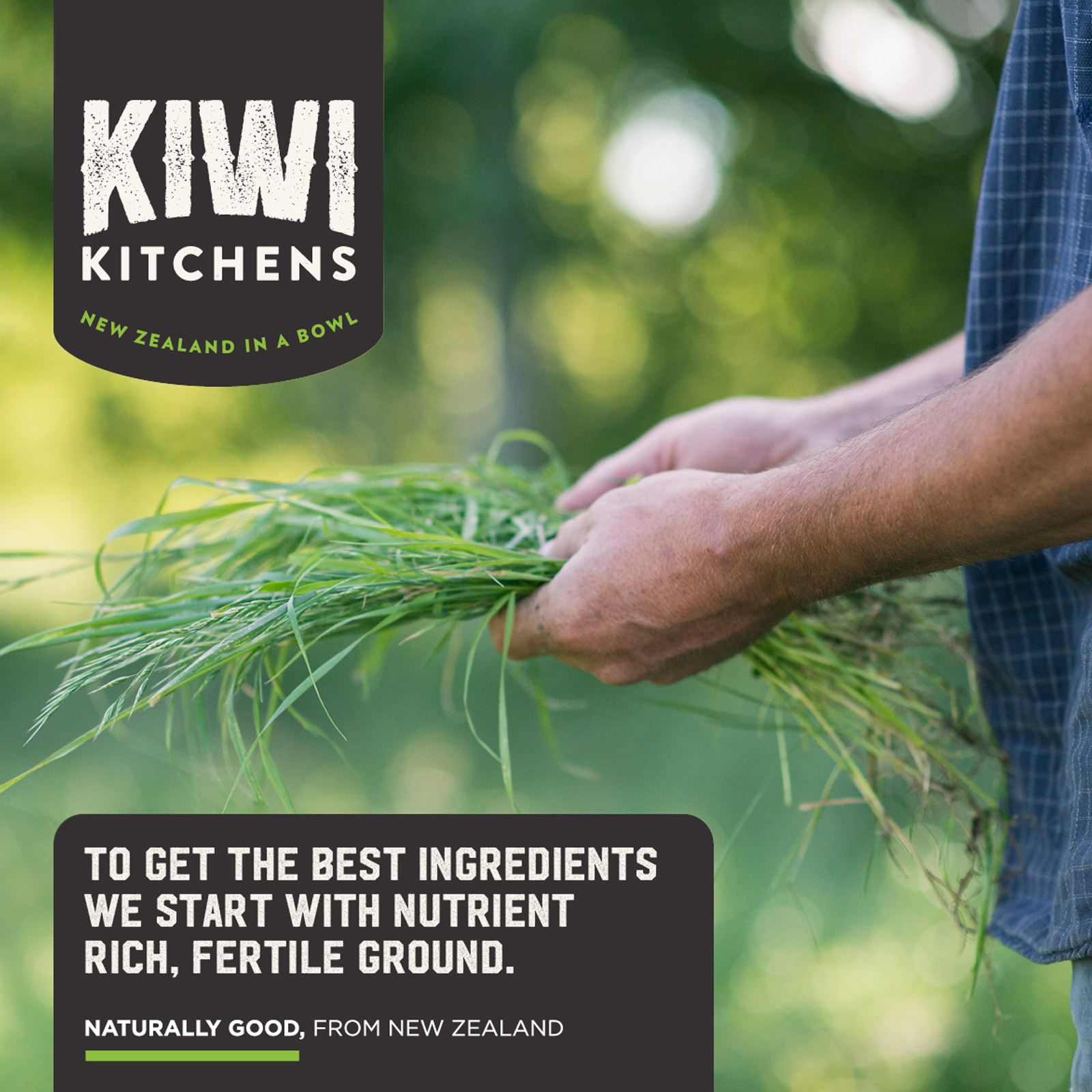 Kiwi Kitchens Super Food Booster Beef Recipe Freeze Dried Grain Free