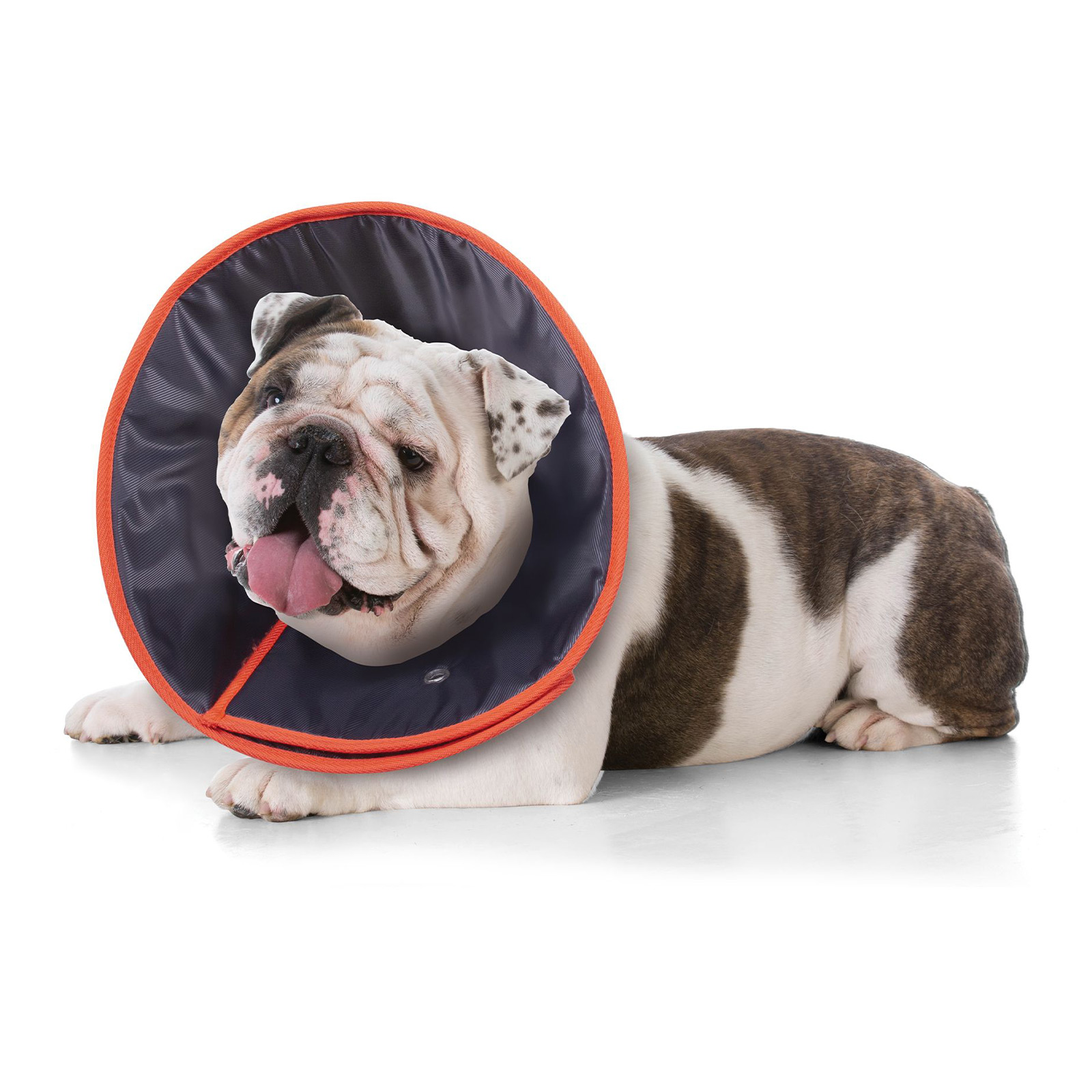 Extra large dog cone best sale