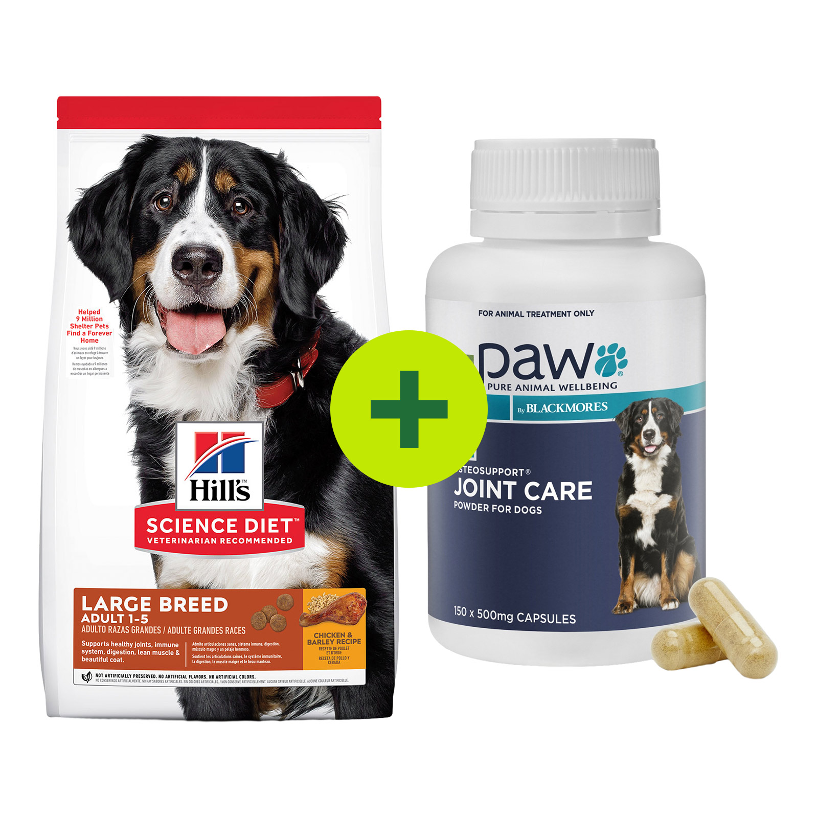 Joint supplements for outlet dogs