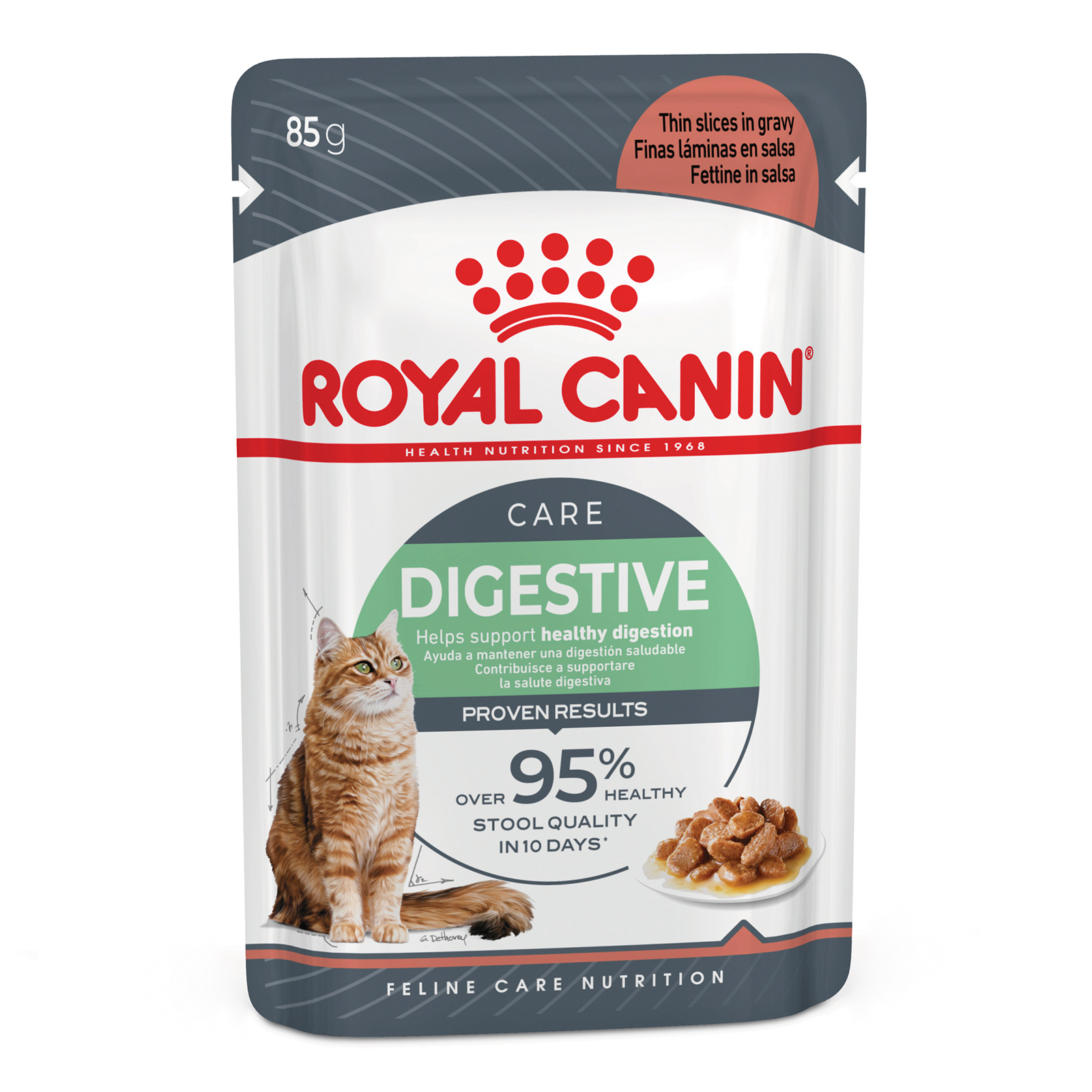 Royal Canin Digest Care In Gravy Adult Pouches Wet Cat Food 85g x