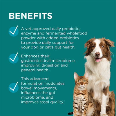 PAW By Blackmores DigestiCare Digestive Health Probiotic Powder For ...