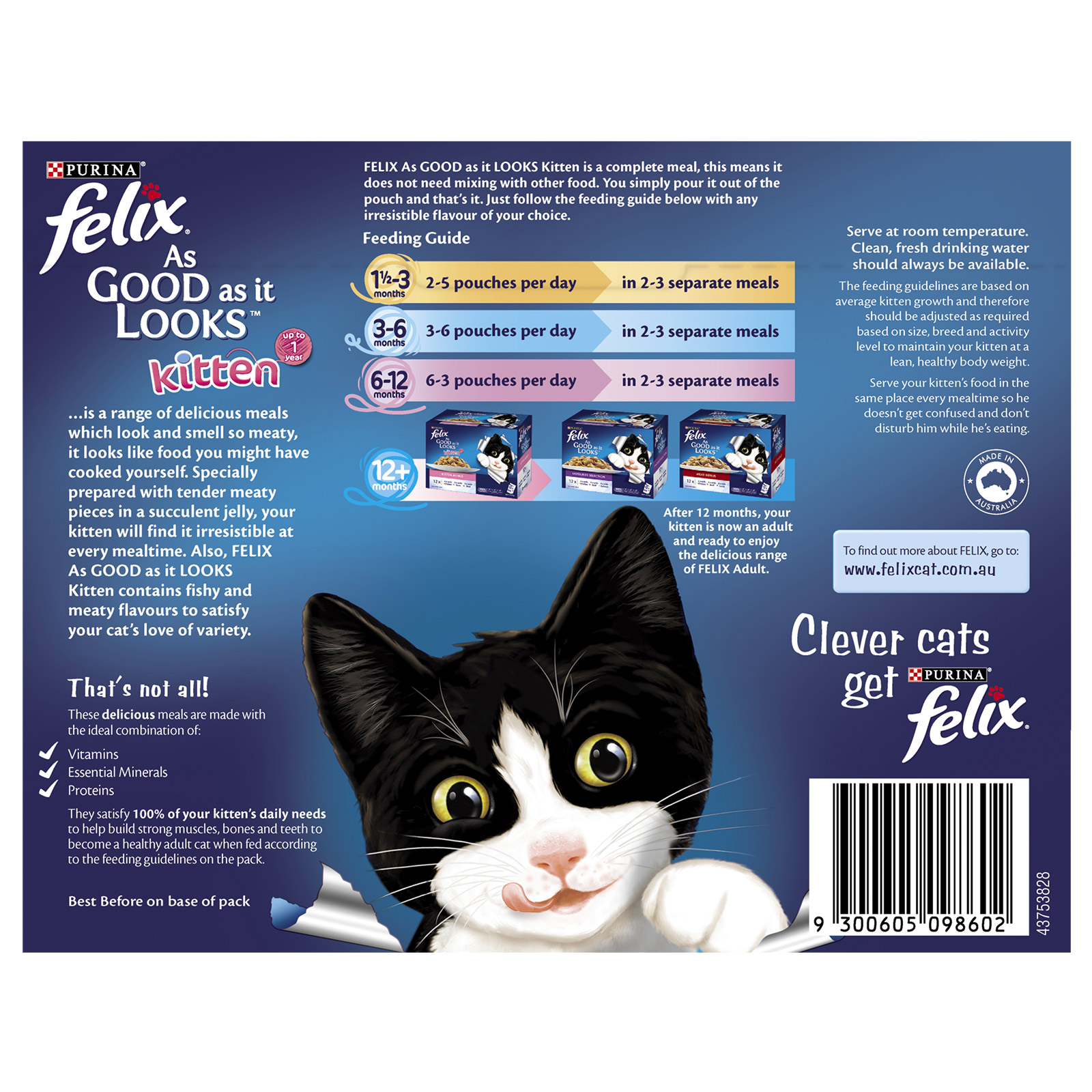 per day how to feed your kitten