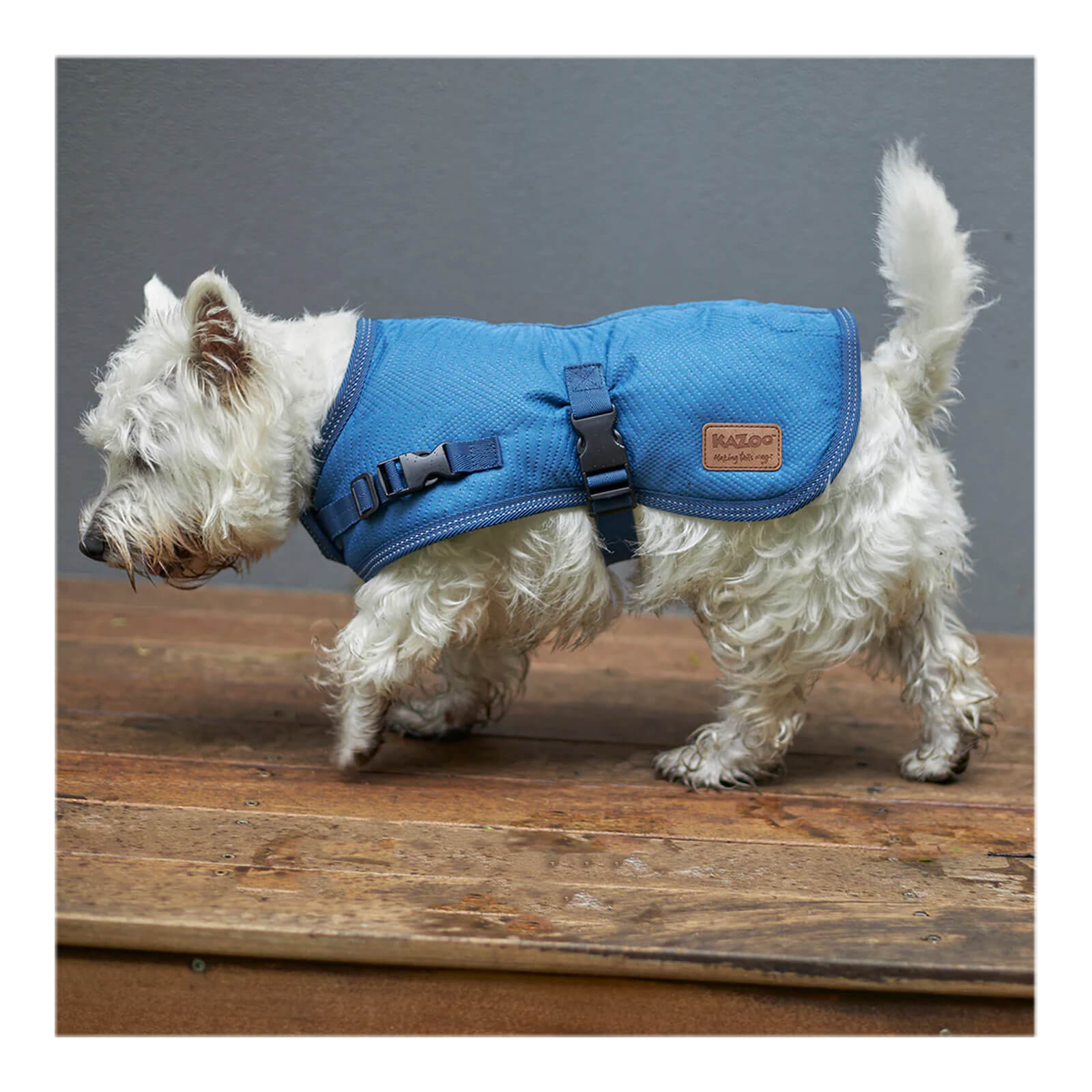 Kazoo Adventure Water Resistant River Blue Extra Large Winter Dog Coat 66.0cm 48.97