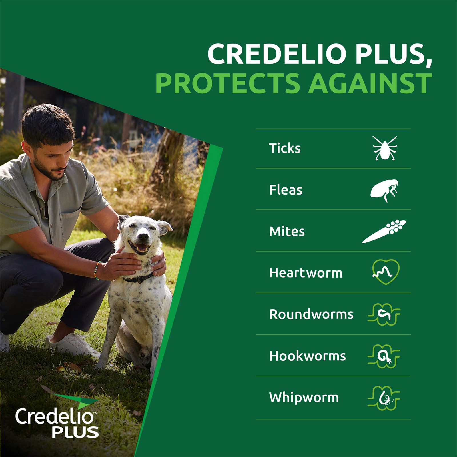 Credelio Plus For Large Dogs 11-22kg Green Single Pack - $39.95