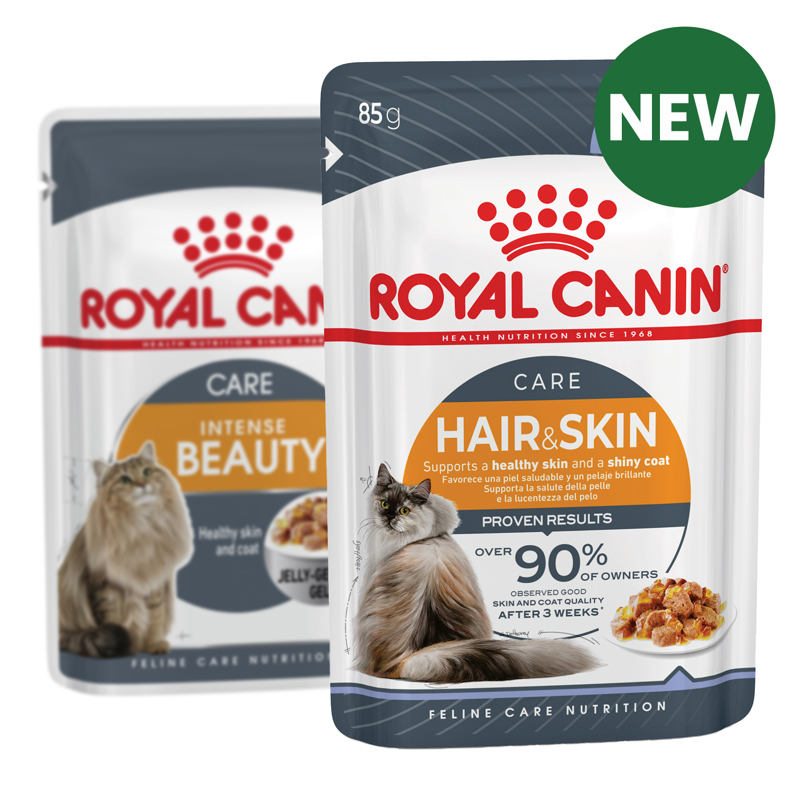 Royal Canin Hair and Skin Care Slices in Jelly Adult Pouches Wet Cat ...
